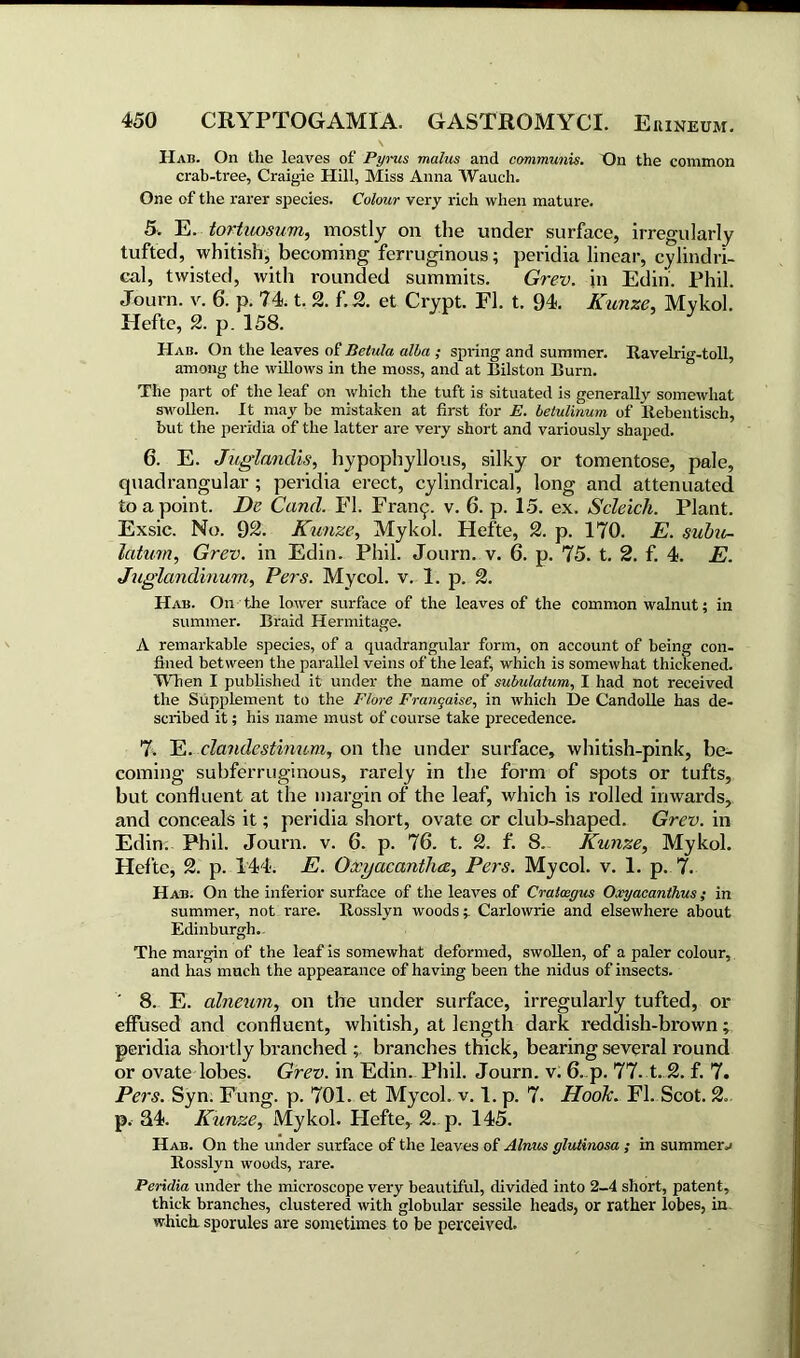 N Had. On the leaves of Pyrus malus and communis. On the common crab-tree, Craigie Hill, Miss Anna Wauch. One of the rarer species. Colour very rich when mature. 5. E. tortuosum, mostly on the under surface, irregularly tufted, whitish, becoming ferruginous; peridia linear, cylindri- cal, twisted, with rounded summits. Grev. in Edin. Phil. Journ. v. 6. p. 74. t. 2. f.2. et Crypt. FI. t. 94. Kunze, Mykol. Hefte, 2. p. 158. Had. On the leaves of Jietula alba ; spring and summer. Ravelrig-toll, among the willows in the moss, and at Bilston Burn. The part of the leaf on which the tuft is situated is generally somewhat swollen. It may be mistaken at first for E. belulinum of llebentisch, but the peridia of the latter are very short and variously shaped. 6. E. Jiiglandis, hypophyllous, silky or tomentose, pale, quadrangular ; peridia erect, cylindrical, long and attenuated to a point. De Cand. FI. Fran^. v. 6. p. 15. ex. Scleicli. Plant. Exsic. No. 92. Kunze, Mykol. Hefte, 2. p. 170. E. subu- latum, Grev. in Edin. Phil. Journ. v. 6. p. 75. t. 2. f. 4. E. Juglandinum, Pers. My col. v. 1. p. 2. Hab. On the lower surface of the leaves of the common walnut; in summer. Braid Hermitage. A remarkable species, of a quadrangular form, on account of being con- fined between the parallel veins of the leaf, which is somewhat thickened. When I published it under the name of subulatum, I had not received the Supplement to the Flore Franqaise, in which De Candolle has de- scribed it; his name must of course take precedence. 7. E. clandestinum, on the under surface, whitish-pink, be- coming subferruginous, rarely in the form of spots or tufts, but confluent at the margin of the leaf, which is rolled inwards, and conceals it; peridia short, ovate or club-shaped. Grev. in Edin. Phil. Journ. v. 6. p. 76. t. 2. f. 8. Kunze, Mykol. Hefte, 2. p. 144. E. Oxyacantlice, Pers. My col. v. 1. p. 7. Hab. On the inferior surface of the leaves of Craicegus Oxyacanthus ; in summer, not rare, ltosslyn woods;. Carlowrie and elsewhere about Edinburgh. The margin of the leaf is somewhat deformed, swollen, of a paler colour, and has much the appearance of having been the nidus of insects. 8. E. alneum, on the under surface, irregularly tufted, or effused and confluent, whitish, at length dark reddish-brown; peridia shortly branched ; branches thick, bearing several round or ovate lobes. Grev. in Edin. Phil. Journ. v. 6. p. 77. t. 2. f. 7. Pers. Syn. Fung. p. 701. et Mycol. v. 1. p. 7. Hook. FI. Scot. 2, p. 34. Kunze, Mykol. Hefte, 2. p. 145. Hab. On the under surface of the leaves of Alims glutinosa ; in summers Rosslyn woods, rare. Peridia under the microscope very beautiful, divided into 2-4 short, patent, thick branches, clustered with globular sessile heads, or rather lobes, in which sporules are sometimes to be perceived.
