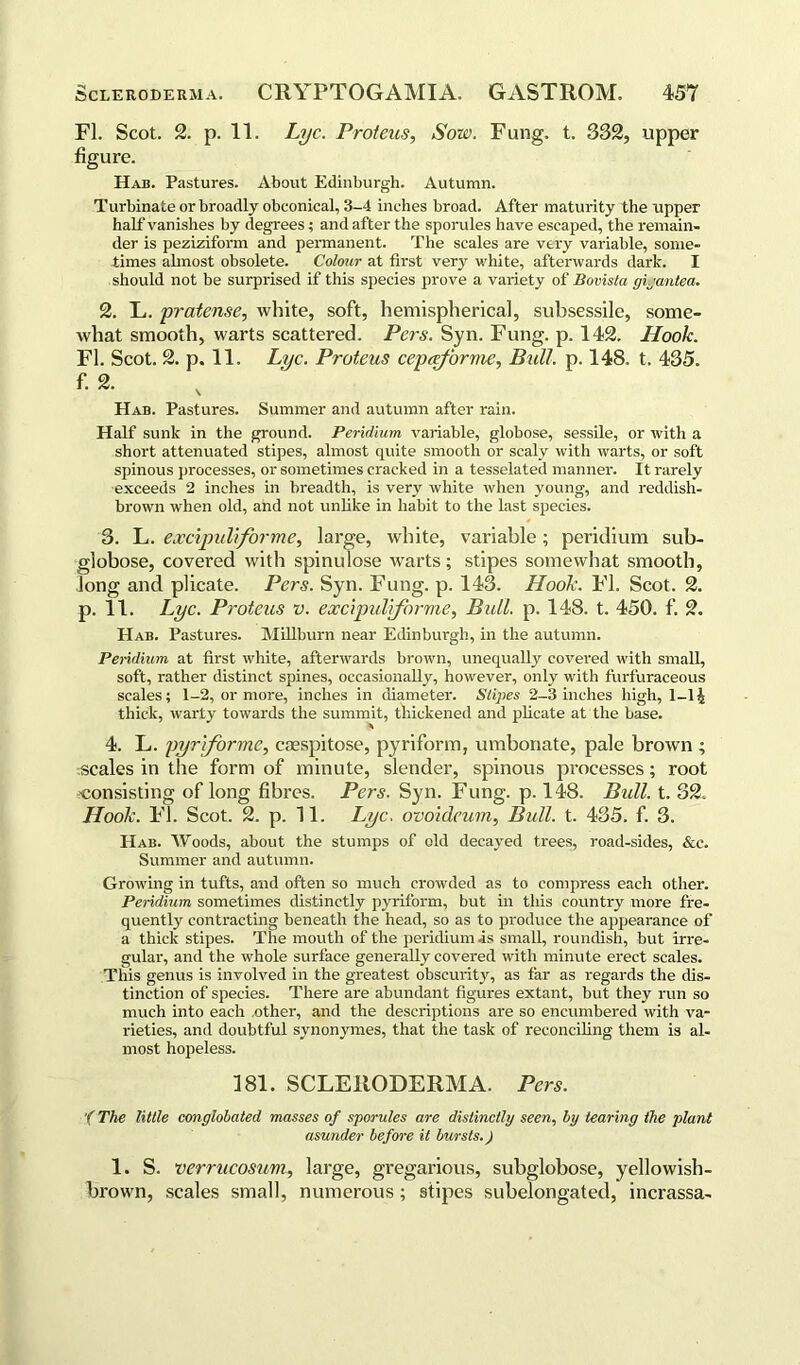 FI. Scot. 2. p. 11. Lyc. Proteus, Sow. Fung. t. 332, upper figure. Hab. Pastures. About Edinburgh. Autumn. Turbinate or broadly obconical, 3-4 inches broad. After maturity the upper half vanishes by degrees; and after the sporules have escaped, the remain- der is peziziform and permanent. The scales are very variable, some- times almost obsolete. Colour at first very white, afterwards dark. I should not be surprised if this species prove a variety of Bovista gijantea. 2. L. pratense, white, soft, hemispherical, subsessile, some- what smooth, warts scattered. Pers. Syn. Fung. p. 142. Hook. FI. Scot. 2. p. 11. Lyc. Proteus cepaforme, Bull. p. 148. t. 435. f.2. Hab. Pastures. Summer and autumn after rain. Half sunk in the ground. Peridium variable, globose, sessile, or with a short attenuated stipes, almost quite smooth or scaly with warts, or soft spinous processes, or sometimes cracked in a tesselated manner. It rarely exceeds 2 inches in breadth, is very white when young, and reddish- brown when old, and not unlike in habit to the last species. 3. L. excipultforme, large, white, variable; peridium sub- globose, covered with spinulose warts; stipes somewhat smooth, long and plicate. Pers. Syn. Fung. p. 143. Hook. FI. Scot. 2. p. 11. Lyc. Proteus v. excipultforme, Bull. p. 148. t. 450. f. 2. Hab. Pastures. Millburn near Edinburgh, in the autumn. Peridium at first white, afterwards brown, unequally covered with small, soft, rather distinct spines, occasionally, however, only with furfuraceous scales; 1-2, or more, inches in diameter. Stipes 2-3 inches high, 1-1 ^ thick, warty towards the summit, thickened and plicate at the base. 4. L. pyriformc, caespitose, pyriform, umbonate, pale brown ; scales in the form of minute, slender, spinous processes; root consisting of long fibres. Pers. Syn. Fung. p. 148. Bull. t. 32. Hook. FI. Scot. 2. p. 11. Lyc. ovoidcum, Bull. t. 435. f. 3. Hab. Woods, about the stumps of old decayed trees, road-sides, &c. Summer and autumn. Growing in tufts, and often so much crowded as to compress each other. Peridium sometimes distinctly pyriform, but in this country more fre- quently contracting beneath the head, so as to produce the appearance of a thick stipes. The mouth of the peridium is small, roundish, but irre- gular, and the whole surface generally covered with minute erect scales. This genus is involved in the greatest obscurity, as far as regards the dis- tinction of species. There are abundant figures extant, but they run so much into each .other, and the descriptions are so encumbered with va- rieties, and doubtful synonymes, that the task of reconciling them is al- most hopeless. 181. SCLERODERMA. Pers. '(The little conglobated masses of sporules are distinctly seen, by tearing the plant asunder before it bursts.) 1. S. verrucosum, large, gregarious, subglobose, yellowish- brown, scales small, numerous; stipes subelongated, incrassa-