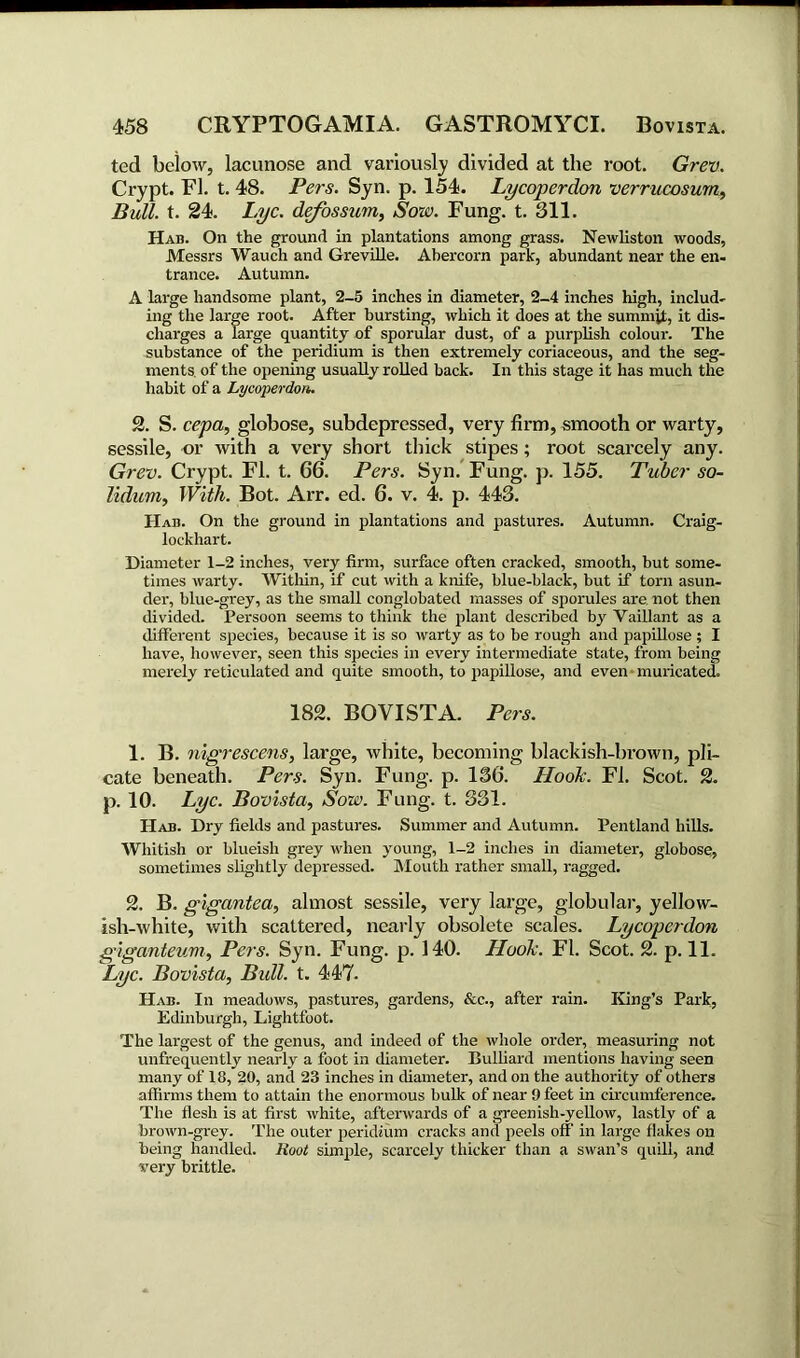 ted below, lacunose and variously divided at the root. Grev. Crypt. FI. t. 48. Pers. Syn. p. 154. Lycoperdon verrucosum. Bull. t. 24. Lyc. defossum, Sow. Fung. t. 311. Hab. On the ground in plantations among grass. Newliston woods, Messrs Wauch and Greville. Abercorn park, abundant near the en- trance. Autumn. A large handsome plant, 2-5 inches in diameter, 2-4 inches high, includ- ing the large root. After bursting, which it does at the summit, it dis- charges a large quantity of sporular dust, of a purplish colour. The substance of the peridium is then extremely coriaceous, and the seg- ments, of the opening usually rolled back. In this stage it has much the habit of a Lycoperdon» 2. S. cepa, globose, subdepressed, very firm, smooth or warty, sessile, or with a very short thick stipes; root scarcely any. Grev. Crypt. FI. t. 66. Pers. Syn. Fung. p. 155. Tuber so- lidum, With. Bot. Arr. ed. 6. v. 4. p. 443. Hab. On the ground in plantations and pastures. Autumn. Craig- lockhart. Diameter 1-2 inches, very firm, surface often cracked, smooth, but some- times warty. Within, if cut with a knife, blue-black, but if torn asun- der, blue-grey, as the small conglobated masses of sporules are not then divided. Persoon seems to think the plant described by Vaillant as a different species, because it is so warty as to be rough and papillose ; I have, however, seen this species in every intermediate state, from being merely reticulated and quite smooth, to papillose, and even muricated. 182. BOVISTA. Pers. 1. B. nigrescens, large, white, becoming blackish-brown, pli- cate beneath. Pers. Syn. Fung. p. 136. Hook. FI. Scot. 2. p.10. Lyc. Bovista, Sow. Fung. t. 331. Hab. Dry fields and pastures. Summer and Autumn. Pentland hills. Whitish or blueish grey when young, 1-2 inches in diameter, globose, sometimes slightly depressed. Mouth rather small, ragged. 2. B. gigantea, almost sessile, very large, globular, yellow- ish-white, with scattered, nearly obsolete scales. Lycoperdon giganteum, Pers. Syn. Fung. p. 140. LLook. FI. Scot. 2. p. 11. %c. Bovista, Bull. t. 447- Hab. In meadows, pastures, gardens, &c., after rain. King’s Park, Edinburgh, Lightfoot. The largest of the genus, and indeed of the whole order, measuring not unfrequently nearly a foot in diameter. Bulliard mentions having seen many of 18, 20, and 23 inches in diameter, and on the authority of others affirms them to attain the enormous bulk of near 9 feet in circumference. The flesh is at first white, afterwards of a greenish-yellow, lastly of a brown-grey. The outer peridium cracks and peels off in large flakes on being handled. Hoot simple, scarcely thicker than a swan’s quill, and very brittle.