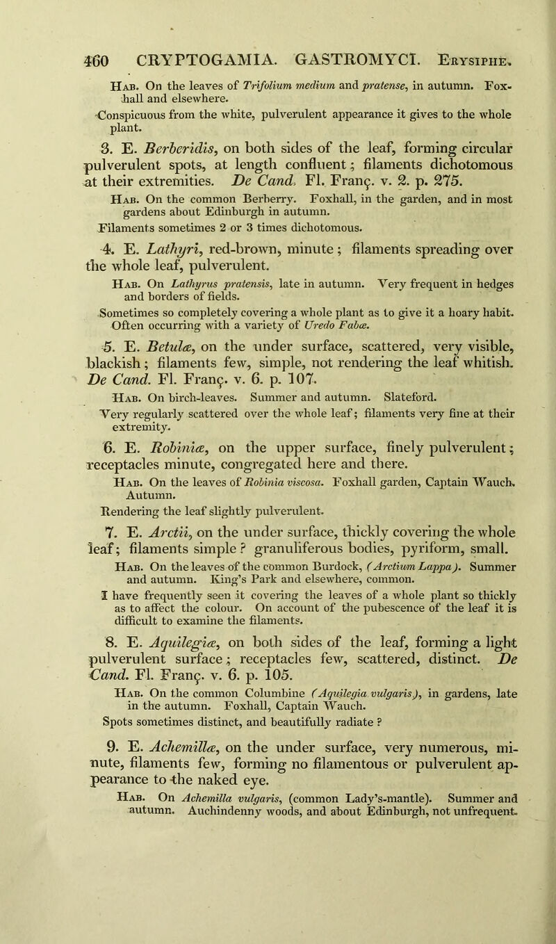 Had. On the leaves of Trifolium medium and pratense, in autumn. Fox- hall and elsewhere. •Conspicuous from the white, pulverulent appearance it gives to the whole plant. 3. E. Berberidls, on both sides of the leaf, forming circular pulverulent spots, at length confluent; filaments dichotomous at their extremities. De Cand. FI. Fran<j. v. 2. p. 275. Hah. On the common Berberry. FoxhaU, in the garden, and in most gardens about Edinburgh in autumn. Filaments sometimes 2 or 3 times dichotomous. 4. E. Laihyri, red-brown, minute ; filaments spreading over the whole leaf, pulverulent. Hab. On Latliyrus pratensis, late in autumn. Very frequent in hedges and borders of fields. Sometimes so completely covering a whole plant as to give it a hoary habit. Often occurring with a variety of Uredo Fabce. 5. E. Betultz, on the under surface, scattered, very visible, blackish ; filaments few, simple, not rendering the leaf whitish. De Cand. FI. Fran9. v. 6. p. 107. Hab. On birch-leaves. Summer and autumn. Slateford. Very regularly scattered over the whole leaf; filaments very fine at their extremity. 6. E. Robinice, on the upper surface, finely pulverulent: receptacles minute, congregated here and there. Hab. On the leaves of Robinia viscosa. Foxhall garden, Captain Wauch. Autumn. Rendering the leaf slightly pulverulent. 7. E. Arciii, on the under surface, thickly covering the whole leaf; filaments simple ? granuliferous bodies, pyriform, small. Hab. On the leaves of the common Burdock, (Arctium Lappa). Summer and autumn. King’s Park and elsewhere, common. I have frequently seen it covering the leaves of a whole plant so thickly as to affect the colour. On account of the pubescence of the leaf it is difficult to examine the filaments. 8. E. Atjuilegiee, on both sides of the leaf, forming a light pulverulent surface; receptacles few, scattered, distinct. De Cand. FI. Fran^. v. 6. p. 105. Hab. On the common Columbine (Aquilegia vulgaris), in gardens, late in the autumn. Foxhall, Captain Wauch. Spots sometimes distinct, and beautifuUy radiate ? 9. E. Achemillee, on the under surface, very numerous, mi- nute, filaments few, forming no filamentous or pulverulent ap- pearance to the naked eye. Hab. On Achemilla vulgaris, (common Lady’s-mantle). Summer and autumn. Auchindenny woods, and about Edinburgh, not unfrequent