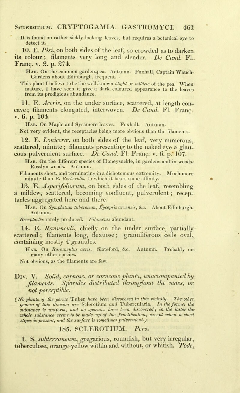 It is found on rather sickly looking leaves, but requires a botanical eye to detect it. 10. E. Pisi, on botli sides of the leaf, so crowded as to darken its colour; filaments very long and slender. De Cand. FL Franc^. v. 2. p. 274. Hab. On the common garden-pea. Autumn. Foxliall, Captain Wauch* Gardens about Edinburgh, frequent. This plant I believe to be the well-known blight or mildew of the pea. When mature, I have seen it give a dark coloured appearance to the leaves from its prodigious abundance. 11. E. Aceris, on the under surface, scattered, at length con- cave; filaments elongated, interwoven. De Cand. FI. Franc. v. 6. p. 104 Hab. On Maple and Sycamore leaves. Foxhall. Autumn. Not very evident, the receptacles being more obvious than the filaments. 12. E. Loniceroc, on both sides of the leaf, very numerous, scattered, minute; filaments presenting to the naked eye a glau- cous pulverulent surface. Dc Cand. FI. Fraiup v. 6. p.'107. Hab. On the different species of Honeysuckle, in gardens and in woods- Rosslyn woods. Autumn. Filaments short, and terminating in a dichotomous extremity. Much more minute than E. Berheridis, to which it bears some affinity. 13. E. Asperifoliorum, on both sides of the leaf, resembling a mildew, scattered, becoming confluent, pulverulent; recep- tacles aggregated here and there. Hab. On Symphitum tuberosum, I'ycopsis arvensis, &c. About Edinburgh. Autumn. Receptacles rarely produced. Filaments abundant. 14. E. Ranunculi, chiefly on the under surface, partially scattered ; filaments long, flexuose ; granuliferous cells oval, containing mostly 4 granules. Hab. On Ranunculus acris. Slateford, &c. Autumn. Probably on many other species. Not obvious, as the filaments are few. lliv. V. Solid, carnose, or corneous plants, unaccompanied, by Jilaments. Sporules distributed throughout the mass, or not perceptible. (No plants of the genus Tuber have been discovered in this vicinity. The other genera of this division are Sclerotium and Tubercularia. In the former the substance is uniform, and no sporules have been discovered; in the latter the whole substance seems to be made up of the fructification, except when a short stipes is present, and the surface is sometimes pulverulent.) 185. SCLEROTIUM. Pers. 1. S. subterraneum, gregarious, roundish, but very irregular, tuberculose, orange-yellow within and without, or whitish. Tode,