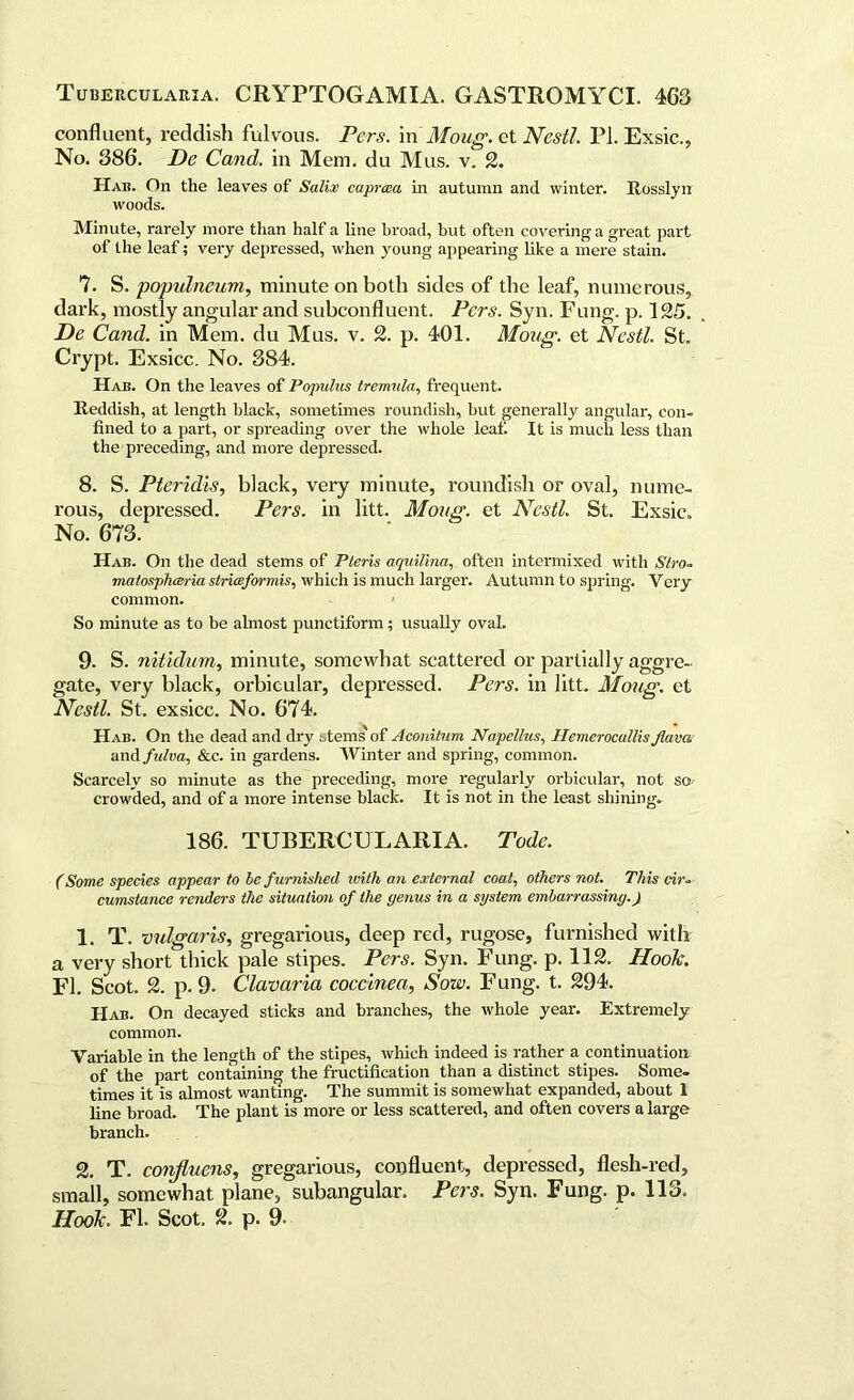 confluent, reddish fulvous. Pcrs. in Moug. et Nestl. PL Exsic., No. 386. De Cand. in Mem. du Mus. v. 2. Hah. On the leaves of Salix caprcea in autumn and winter. Rosslyn woods. Minute, rarely more than half a line broad, but often covering a great part of the leaf; very depressed, when young appearing like a mere stain. 7. S. populneum, minute on both sides of the leaf, numerous, dark, mostly angular and subconfluent. Pcrs. Syn. Fung. p. 125. De Cand. in Mem. du Mus. v. 2. p. 401. Moug. et Nestl. St. Crypt. Exsicc. No. 384. Hab. On the leaves of Populus tremula, frequent. Reddish, at length black, sometimes roundish, but generally angular, con- fined to a part, or spreading over the whole leaf. It is much less than the preceding, and more depressed. 8. S. Pteridis, black, very minute, roundish or oval, nume- rous, depressed. Pers. in litt. Moug. et Nestl. St. Exsic. No. 673. Hab. On the dead stems of Pteris aquilina, often intermixed with Slro- matospheeria striceformis, which is much larger. Autumn to spring. Very common. So minute as to be almost punctiform; usually oval. 9. S. nitidum, minute, somewhat scattered or partially aggre- gate, very black, orbicular, depressed. Pers. in litt. Moug. et Nestl. St. exsicc. No. 674. Hab. On the dead and dry stems' of Aconitum Napellus, Hemerocallis Jlava and fulva, &e. in gardens. Winter and spring, common. Scarcely so minute as the preceding, more regularly orbicular, not so. crowded, and of a more intense black. It is not in the least shining. 186. TUBERCULARIA. Tode. (Some species appear to be furnished with an external coal, others not. This cir- cumstance renders the situation of the genus in a system embarrassing.) 1. T. vulgaris, gregarious, deep red, rugose, furnished with a very short thick pale stipes. Pers. Syn. Fung. p. 112. Ilook. FI. Scot. 2. p. 9. Clavaria coccinea, Sow. Fung. t. 294. Hab. On decayed sticks and branches, the whole year. Extremely common. Variable in the length of the stipes, which indeed is rather a continuation of the part containing the fructification than a distinct stipes. Some- times it is almost wanting. The summit is somewhat expanded, about 1 line broad. The plant is more or less scattered, and often covers a large branch. 2. T. confluens, gregarious, confluent, depressed, flesh-red, small, somewhat plane, subangular. Pers. Syn. Fung. p. 113. Hook. FI. Scot. 2. p. 9-