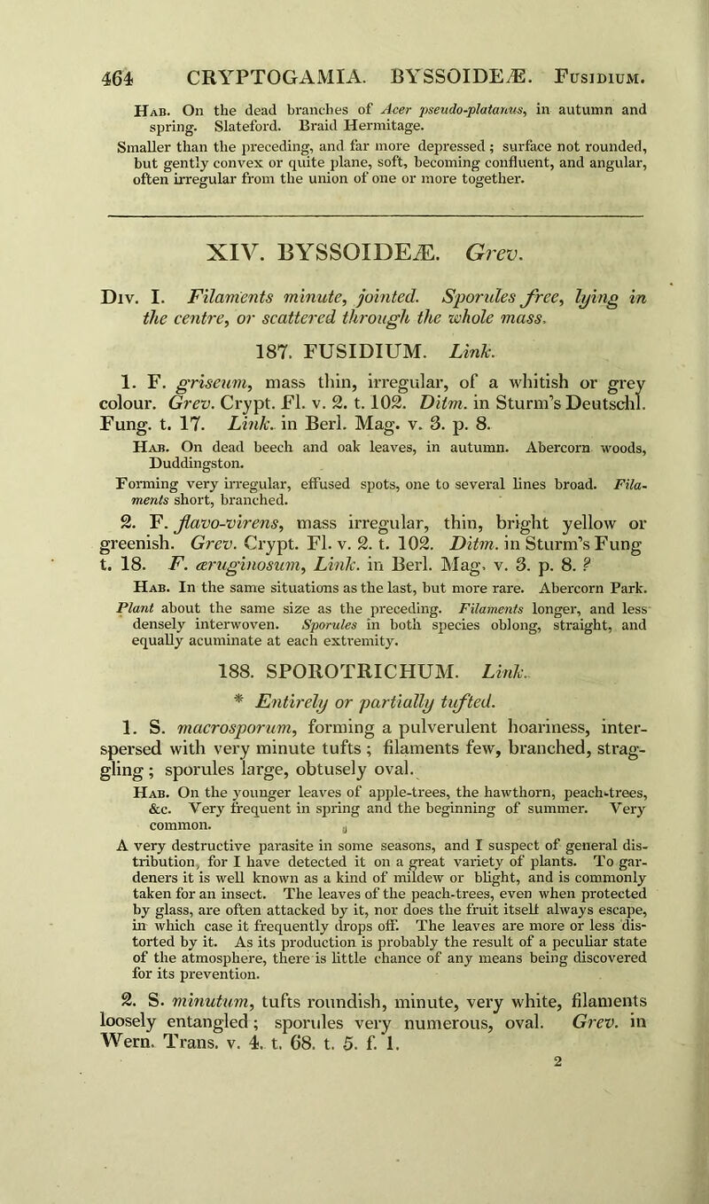Hab. On the dead branches of Acer pseudo-platanus, in autumn and spring. Slateford. Braid Hermitage. Smaller than the preceding, and far more depressed; surface not rounded, but gently convex or quite plane, soft, becoming confluent, and angular, often irregular from the union of one or more together. XIV. BYSSGIDEiE. Grev. Div. I. Filaments minute, jointed. Sporules free, lying in the centre, or scattered through the whole mass. 187. FUSIDIUM. Link. 1. F. griseum, mass thin, irregular, of a whitish or grey colour. Grev. Crypt. FI. v. 2. 1.102. Ditm. in Sturm’s Deutschl. Fung. t. 17. Link, in Berl. Mag. v. 3. p. 8. Hab. On dead beech and oak leaves, in autumn. Abercorn woods, Duddingston. Forming very irregular, effused spots, one to several lines broad. Fila- ments short, branched. 2. F. favo-virens, mass irregular, thin, bright yellow or greenish. Grev. Crypt. FI. v. 2. t. 102. Ditm. in Sturm’s Fung t. 18. F. ctruginosum. Link, in Berl. Mag. v. 3. p. 8. ? Hab. In the same situations as the last, but more rare. Abercorn Park. Plant about the same size as the preceding. Filaments longer, and less densely interwoven. Sporules in both species oblong, straight, and equally acuminate at each extremity. 188. SPOROTRICHUM. Link. * Entirely or partially lifted. 1. S. macrosporum, forming a pulverulent hoariness, inter- spersed with very minute tufts ; filaments few, branched, strag- gling ; sporules large, obtusely oval. Hab. On the younger leaves of apple-trees, the hawthorn, peach-trees, &c. Very frequent in spring and the beginning of summer. Very common. a A very destructive parasite in some seasons, and I suspect of general dis- tribution, for I have detected it on a great variety of plants. To gar- deners it is well known as a kind of mildew or blight, and is commonly taken for an insect. The leaves of the peach-trees, even when protected by glass, are often attacked by it, nor does the fruit itself always escape, in which case it frequently drops off. The leaves are more or less dis- torted by it. As its production is probably the result of a peculiar state of the atmosphere, there is little chance of any means being discovered for its prevention. 2. S. minutum, tufts roundish, minute, very white, filaments loosely entangled; sporules very numerous, oval. Grev. in Wern, Trans, v. 4. t. 68. t. 5. f. 1. 2