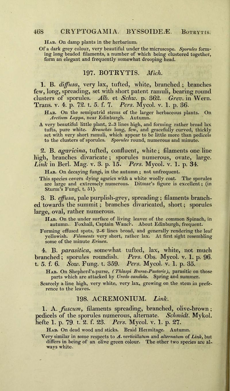 Hab. On damp plants in the herbarium. Of a dark grey colour, very beautiful under the microscope. Sporules form- ing long beaded filaments, a number of which being clustered together, form an elegant and frequently somewhat drooping head. 197. BOTRYTIS. Mich. 1. B. diffusa, very lax, tufted, white, branched ; branches few, long, spreading, set with short patent rainuli, bearing round clusters of sporules. Alb. et Schw. p. 362. Grev. in Wern. Trans, v. 4. p. 72. t. 5. f. 7. Pers. Mycol. v. 1. p. 36. Hab. On the semiputrid stems of the larger herbaceous plants. On Arctium Lappa, near Edinburgh. Autumn. A very beautiful little plant, 2-3 lines high, and forming rather broad lax tufts, pure white. Branches long, few, and gracefully curved, thickly set with very short ramuli, which appear to be little more than pedicels to the clusters of sporules. Sporules round, numerous and minute. 2. B. agaricina, tufted, confluent, white; filaments one line high, branches divaricate; sporules numerous, ovate, large. Link in Berl. Mag. v. 3. p. 15. Pers. Mycol. v. 1. p. 34. Hab. On decaying fungi, in the autumn ; not unfrequent. This species covers dying agarics with a white woolly coat. The sporules are large and extremely numerous. Ditmar’s figure is excellent; (in Sturm’s Fungi, t. 51). 3. B. effusa, pale purplish-gi’ey, spreading; filaments braxxch- ed towards the summit; branches divaricated, short; sporules large, oval, rather numerous. Hab. On the under surface of living leaves of the common Spinach, in autumn Foxhall, Captain Wauch. About Edinburgh, frequent. Forming effused spots, 2-6 lines broad, and generally rendering the leaf yellowish. Filaments very short, rather lax. At first sight resembling some of the minute Erinea. 4. B. parasitica, somewhat tufted, lax, white, not much branched; sporules roundish. Pers. Obs. Mycol. v. 1. p. 96. t, 5. f. 6. Sow. Fung. t. 359. Pers. Mycol. v. 1. p. 35. Hab. On Shepherd’s-purse, (Tlilaspi Bursa-Pastoris), parasitic on those parts which are attacked by Uredo Candida. Spring and summer. Scarcely a line high, very white, very lax, growing on the stem in prefe- rence to the leaves. 198. ACREMONIUM. Link. 1. A.ffuscum, filaments spreading, branched, olive-brown; pedicels of the sporules numerous, alternate. Schmidt. Mykol. hefte 1. p. 79. t. 2. f. 23. Pers. Mycol. v. 1. p. 27. Hab. On dead wood and sticks. Braid Heimitage. Autumn. Very similar in some respects to A. verticillatum and alternatum of Link, but differs in being of an olive green colour. The other two species are al- ways white.