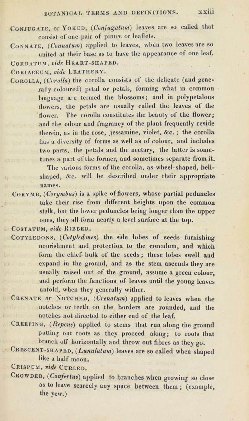 Conjugate, or Yoked, (Conjugation) leaves are so called that consist of one pair of pinnae or leaflets. Connate, (Connatum) applied to leaves, when two leaves are so united at their base as to have the appearance of one leaf. Cordatum, vide Heart-shaped. Coriaceum, vide Leathery. Corolla, (Corolla) the corolla consists of the delicate (and gene- rally coloured) petal or petals, forming what in common language are termed the blossoms; and in polypetalous flowers, the petals are usually called the leaves of the flower. The corolla constitutes the beauty of the flower; and the odour and fragrancy of the plant frequently reside therein, as in the rose, jessamine, violet, &c.; the corolla has a diversity of forms as well as of colour, and includes two parts, the petals and the nectary, the latter is some- times a part of the former, and sometimes separate from it. The various forms of the corolla, as wheel-shaped, bell- shaped, &c. will be described under their appropriate names. Corymb, (Corymbus) is a spike of flowers, whose partial peduncles take their rise from different heights upon the common stalk, but the lower peduncles being longer than the upper ones, they all form nearly a level surface at the top. Costatum, vide Ribbed. Cotyledons, (Cotyledon.es) the side lobes of seeds furnishing nourishment and protection to the corculum, and which form the chief bulk of the seeds; these lobes swell and expand in the ground, and as the stem ascends they are usually raised out of the ground, assume a green colour, and perform the functions of leaves until the young leaves unfold, when they generally wither. Crenate or Notched, (Crenatum) applied to leaves when the notches or teeth on the borders are rounded, and the notches not directed to either end of the leaf. Creeping, (Repens) applied to stems that run along the ground putting out roots as they proceed along; to roots that branch off horizontally and throw out fibres as they go. Crescent-shaped, (Lunulatum) leaves are so called when shaped like a half moon. Crispum, vide Curled. Crowded, (Confertus) applied to branches when growing so close as to leave scarcely any space between them ; (example, the yew.)