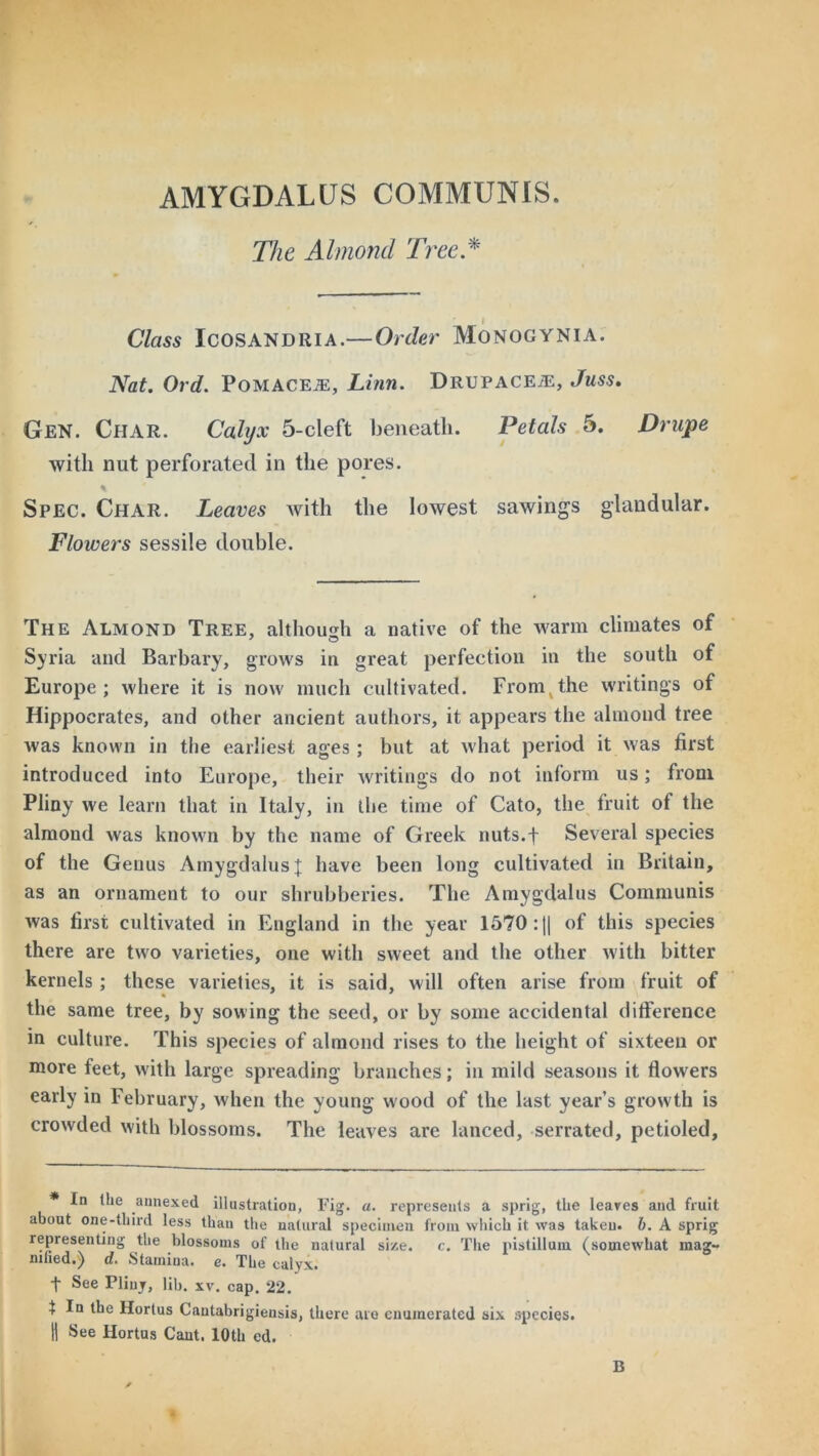 AMYGDALUS COMMUNIS. The Almond Tree * Class Icosandria.—Order Monogynia. Nat. Ord. Pomacea:, Linn. Drupacea:, Juss. Gen. Char. Calyx 5-cleft beneath. Petals 5. Drupe with nut perforated in the pores. Spec. Char. Leaves with the lowest sawings glandular. Floivers sessile double. The Almond Tree, although a native of the warm climates of Syria and Barbary, grows in great perfection in the south of Europe ; where it is now much cultivated. From the writings of Hippocrates, and other ancient authors, it appears the almond tree was known in the earliest ages ; but at what period it was first introduced into Europe, their writings do not inform us; from Pliny we learn that in Italy, in the time of Cato, the fruit of the almond was known by the name of Greek nuts.f Several species of the Genus Amygdalus J have been long cultivated in Britain, as an ornament to our shrubberies. The Amygdalus Communis was first cultivated in England in the year 1570: j( of this species there are two varieties, one with sweet and the other with bitter kernels ; these varieties, it is said, will often arise from fruit of the same tree, by sowing the seed, or by some accidental difference in culture. This species of almond rises to the height of sixteen or more feet, with large spreading branches; in mild seasons it flowers early in February, when the young wood of the last year’s growth is crowded with blossoms. The leaves are lanced, serrated, petioled. * In the annexed illustration, Fig. a. represents a sprig, the leaves and fruit about one-tliird less than the natural specimen from which it was taken, b. A sprig representing the blossoms of the natural size. c. The pistillum (somewhat mag- mhed.) d. Stamina, e. The calyx. t See Pliny, lib. xv. cap. 22. } In the Hortus Cantabrigiensis, there are enumerated six species. H See Hortus Cant. 10th ed. B