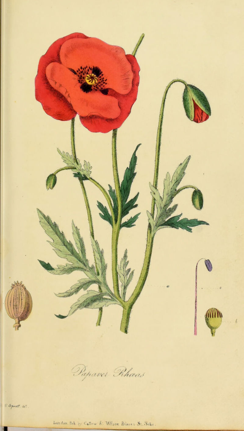 tifrretff ,U1 doti. Put >• C+Dow ' & Wtffon fV'yi' f'i * . «SoVtr