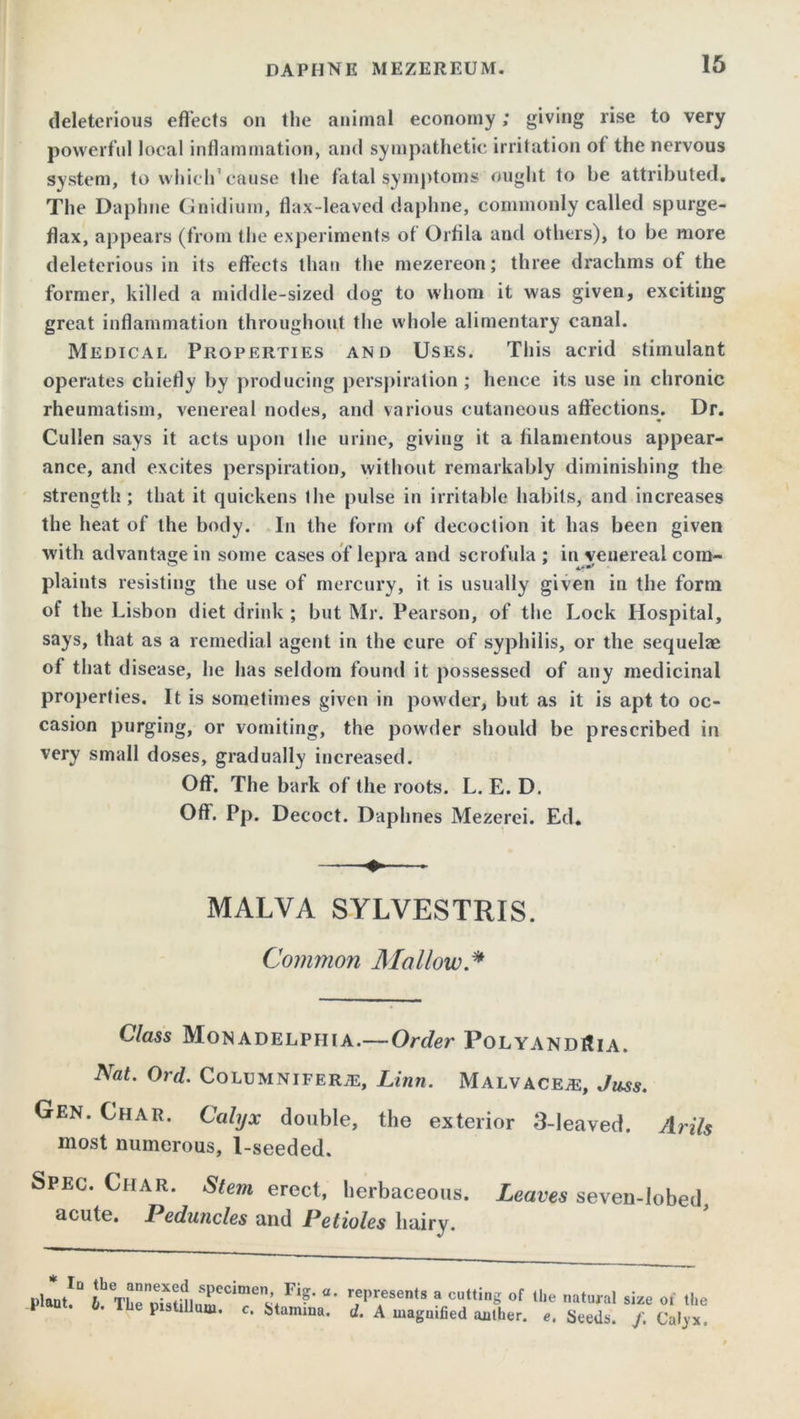 deleterious effects on the animal economy; giving rise to very powerful local inflammation, and sympathetic irritation of the nervous system, to which'cause the fatal symptoms ought to be attributed. The Daphne Gnidium, flax-leaved daphne, commonly called spurge- flax, appears (from the experiments of Orfila and others), to be more deleterious in its effects than the mezereon; three drachms of the former, killed a middle-sized dog to whom it was given, exciting great inflammation throughout the whole alimentary canal. Medical Properties and Uses. This acrid stimulant operates chiefly by producing perspiration ; hence its use in chronic rheumatism, venereal nodes, and various cutaneous affections. Dr. Cullen says it acts upon the urine, giving it a filamentous appear- ance, and excites perspiration, without remarkably diminishing the strength ; that it quickens the pulse in irritable habits, and increases the heat of the body. In the form of decoction it has been given with advantage in some cases of lepra and scrofula ; in venereal com- plaints resisting the use of mercury, it is usually given in the form of the Lisbon diet drink ; but Mr. Pearson, of the Lock Hospital, says, that as a remedial agent in the cure of syphilis, or the sequelae of that disease, he has seldom found it possessed of any medicinal properties. It is sometimes given in powder, but as it is apt to oc- casion purging, or vomiting, the powder should be prescribed in very small doses, gradually increased. Off. The bark of the roots. L. E. D. Off. Pp. Decoct. Daphnes Mezerei. Ed. MALVA SYLVESTRIS. Common Mallow * Class Monadelphia.—Order PolyandiTia. Nat. Ord. Columnifera:, Linn. Malvaceae, Juss. Gen. Char. Calyx double, the exterior 3-leaved. Arils most numerous, 1-seeded. Spec. Char. Stem erect, herbaceous. Leaves seven-lobed, acute. Peduncles and Petioles hairy. plant!0 ;bT^^,rCir^ Fi?‘ r^\esenis a cuttinS of the natural size of the pisUUum. e. Mamina, d. A magnified aalher. e. Seeds. /. Caljx,