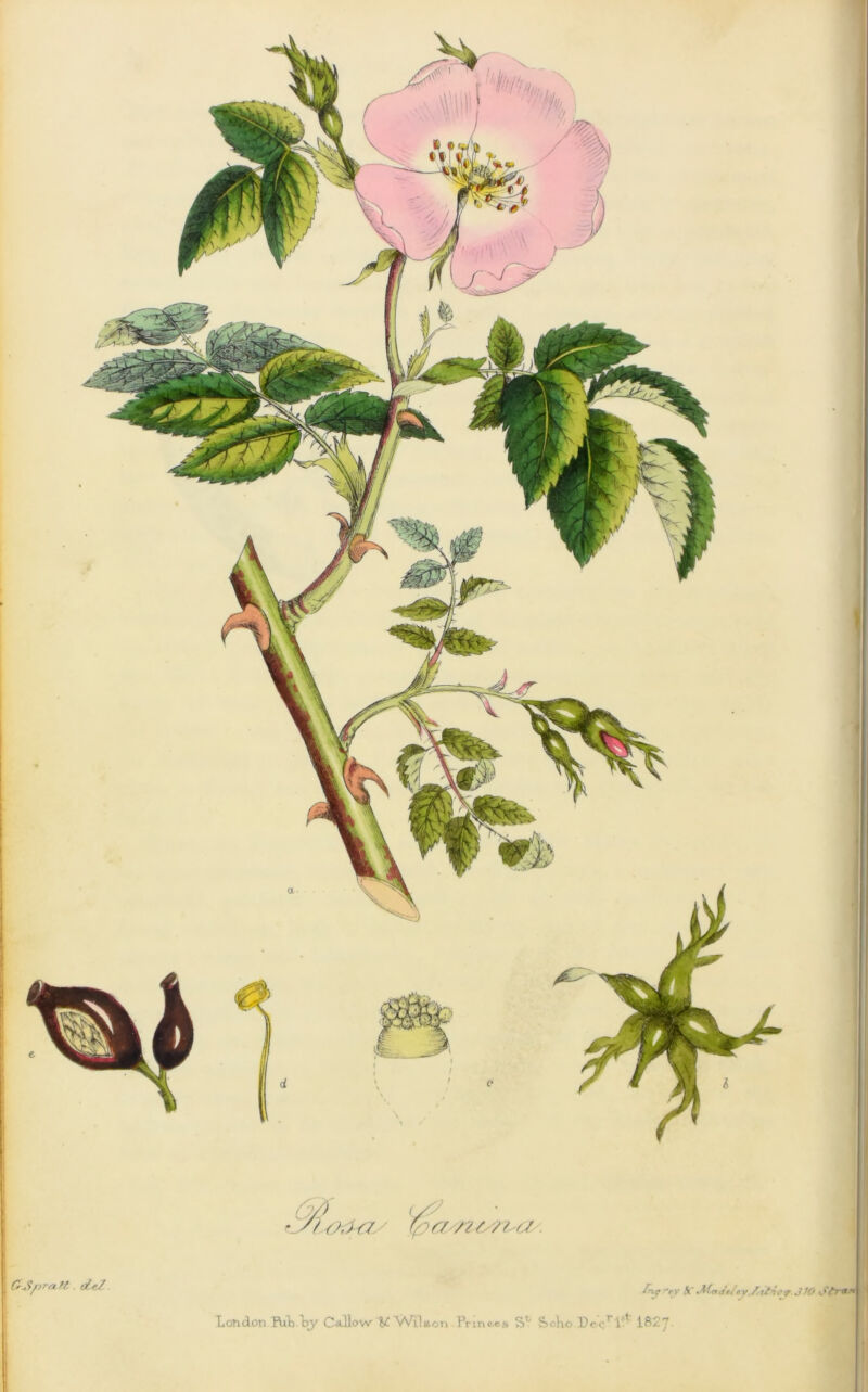 p Gjpra.ll dfj / O'UI London HiL Ly Ca-llow U V/llson Prmc.es Juf-rv tC *Madt/ty,/itf4<’?.3/0 .. S'- S>oKo De.crlst lfl2