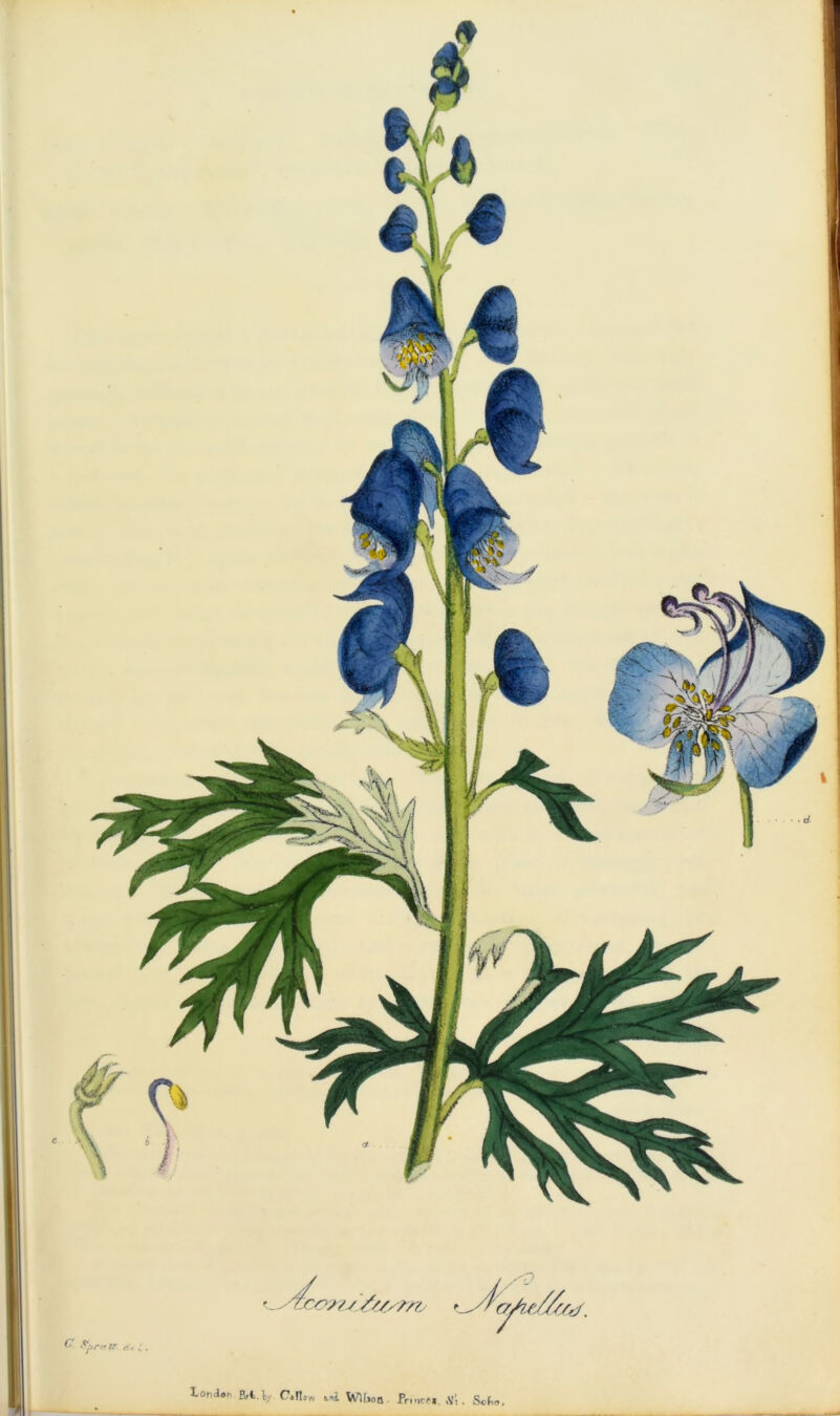 /D V. (■ Ffrrrtr r/, 1°nd<”’ W-V c.no* *„i WWmb Frincf*. m\. Sok„,