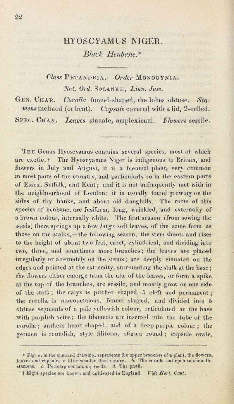 HYOSCYAMUS NIGER. Black Henbane.* Class Petandria.—Order Monogynia. A at. Ord. Solan e m, Linn. Jnss. Gen. Char. Corolla funnel-shaped, the lobes obtuse. Sta- mens inclined (or bent). Capsule covered with a lid, 2-celled. Spec. Char. Leaves sinuate, amplexicaul. Flowers sessile. The Genus Hyoscyamus contains several species, most of which are exotic, f The Hyoscyamus Niger is indigenous to Britain, and flowers in July and August, it is a biennial plant, very common in most parts of the country, and particularly so in the eastern parts of Essex, Suffolk, and Kent; and it is not unfrequently met with in the neighbourhood of London; it is usually found growing on the sides of dry banks, and about old dunghills. The roots of this species of henbane, are fusiform, long, wrinkled, and externally of a brown colour, internally white. 'The first season (from sowing the seeds) there springs up a few large soft leaves, of the same form as those on the stalks,—the following season, the stem shoots and rises to the height of about two feet, erect, cylindrical, and dividing into two, three, and sometimes more branches; the leaves are placed irregularly or alternately on the stems; are deeply sinuated on the edges and pointed at the extremity, surrounding the stalk at the base ; the flowers either emerge from the alae of the leaves, or form a spike at the top of the branches, are sessile, and mostly grow on one side of the stalk ; the calyx is pitcher shaped, 5 cleft and permanent ; the corolla is monopetalous, funnel shaped, and divided into 5 obtuse segments of a pale yellowish colour, reticulated at the base with purplish veins; the filaments are inserted into the tube of the corolla; anthers heart-shaped, and of a deep purple colour; the germen is roundish, style filiform, stigma round ; capsule ovate. * Fig. «. io the annexed drawing, represents the upper branches of a plant, the flowers, leaves and capsules a little smaller than nature, b. The corolla cut open to shew the stamens, c. Pericarp con tabling seeds, d. The pistil. t Eight species are known and cultivated in England. Vide Hort. Cant.