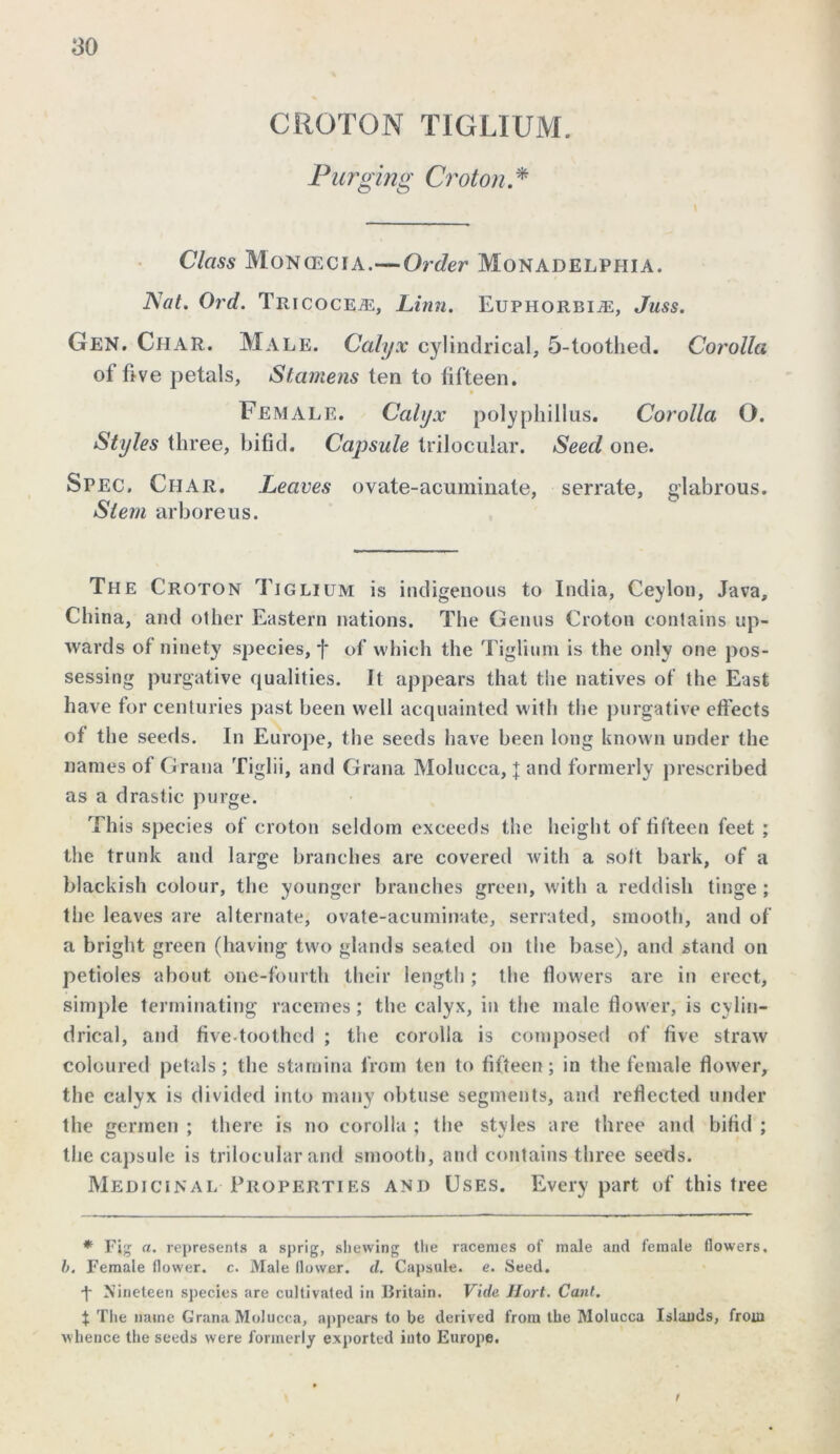 so CROTON TIGLIUM. Purging Croton * Class Moncecia.—Order Monadelphia. A at. Ord. Tricocea:, Linn. Euphorbia:, Juss. Gen. Char. Male. Calyx cylindrical, 5-toothed. Corolla of five petals, Stamens ten to fifteen. » Female. Calyx polyphillus. Corolla O. Styles three, bifid. Capside trilocular. Seed one. Spec. Char. Leaves ovate-acuminate, serrate, glabrous. Stem arboreus. The Croton Tiglium is indigenous to India, Ceylon, Java, China, and other Eastern nations. The Genus Croton contains up- wards of ninety species, f of which the Tiglium is the only one pos- sessing purgative qualities. It appears that tlie natives of the East have for centuries past been well acquainted with the purgative effects of the seeds. In Europe, the seeds have been long known under the names of Grana Tiglii, and Grana Molucca, J and formerly prescribed as a drastic purge. This species of croton seldom exceeds the height of fifteen feet ; the trunk and large branches are covered with a soft bark, of a blackish colour, the younger branches green, with a reddish tinge ; the leaves are alternate, ovate-acuminate, serrated, smooth, and of a bright green (having two glands seated on the base), and stand on petioles about one-fourth their length ; the flowers are in erect, simple terminating racemes; the calyx, in the male flower, is cylin- drical, and five-toothed ; the corolla is composed of five straw coloured petals; the stamina from ten to fifteen; in the female flower, the calyx is divided into many obtuse segments, and reflected under the germen ; there is no corolla ; the styles are three and bifid ; the capsule is trilocular and smooth, and contains three seeds. Medicinal Properties and Uses. Every part of this tree * Fig a. represents a sprig, shewing the racemes of male and female flowers. b. Female flower, c. Male flower, d. Capsule, e. Seed. f Nineteen species are cultivated in Britain. Vide JJort. Cant. X The name Grana Molucca, appears to be derived from the Molucca Islands, from whence the seeds were formerly exported into Europe. t