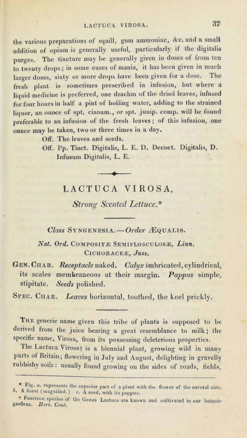 the various preparations of squill, gum ammoniac, &c. and a small addition of opium is generally useful, particularly if the digitalis purges. The tincture may be generally given in doses of from ten to twenty drops; in some cases of mania, it has been given in much larger doses, sixty or more drops have been given for a dose. The fresh plant is sometimes prescribed in infusion, but where a liquid medicine is preferred, one drachm of the dried leaves, infused for four hours in half a pint of boiling water, adding to the strained liquor, an ounce of spt. cinnam., or spt. junip. comp, will be found preferable to an infusion of the fresh leaves; of this infusion, one ounce may be taken, two or three times in a day. Off. The leaves and seeds. Off. Pp. Tinct. Digitalis, L. E. D. Decoct. Digitalis, D. Infusum Digitalis, L. E. LACTUCA VIROSA, • ' i Strong Scented Lettuce * Class Syngenesia.—Order tEqualis. Nat. Ord. Composite SEMiFLOSCULoSiE, Linn. ClCHORACEiE, Juss. Gen. Char. Receptacle naked. Calyx imbricated, cylindrical, its scales membraneous at their margin. Pappus simple, stipitate. Seeds polished. Spec. Char. Leaves horizontal, toothed, the keel prickly. The generic name given this tribe of plants is supposed to be derived from the juice bearing a great resemblance to milk; the specific name, Virosa, from its possessing deleterious properties. The Lactuca Virosaf is a biennial plant, growing wild in many paits of Britain; flowering in July and August, delighting in gravelly rubbishy soils: usually found growing on the sides of roads, fields, * Fio. a. represents the superior part of a plant with the flower of the natural size. b. A floret (magnified.) c. A seed, with its pappus. + Fourteen species of the Genus Lactuca are known and cultivated in our botanic gardens. Hort. Cant.