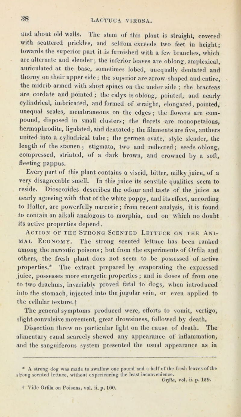 and about old walls. The stein of this plant is straight, covered with scattered prickles, and seldom exceeds two feet in height; towards the superior part it is furnished with a few branches, which are alternate and slender; the inferior leaves are oblong, amplexical, auriculated at the base, sometimes lobed, unequally dentated and thorny on their upper side ; the superior are arrow-shaped and entire, the midrib armed with short spines on the under side ; the bracteas are cordate and pointed ; the calyx is oblong, pointed, and nearly cylindrical, imbricated, and formed of straight, elongated, pointed, unequal scales, membraneous on the edges; the flowers are com- pound, disposed in small clusters; the florets are monopetalous, hermaphrodite, ligulated, and dentated ; the filaments are five, anthers united into a cylindrical tube; the germen ovate, style slender, the length ot the stamen ; stigmata, two and reflected ; seeds oblong, compressed, striated, of a dark brown, and crowned by a soft, fleeting pappus. Every part of this plant contains a viscid, bitter, milky juice, of a very disagreeable smell. In this juice its sensible qualities seem to reside. Dioscorides describes the odour and taste of the juice as nearly agreeing with that of the white poppy, and its effect, according to Haller, are powerfully narcotic; from recent analysis, it is found to contain an alkali analogous to morphia, and on which no doubt its active properties depend. Action of the Strong Scented Lettuce on the Ani- mal Economy. The strong scented lettuce has been ranked among the narcotic poisons ; but from the experiments of Orfila and others, the fresh plant does not seem to be possessed of active properties.* The extract prepared by evaporating the expressed juice, possesses more energetic properties; and in doses of from one to two drachms, invariably proved fatal to dogs, when introduced into the stomach, injected into the jugular vein, or even applied to the cellular texture.f The general symptoms produced were, efforts to vomit, vertigo, slight convulsive movement, great drowsiness, followed by death. Dissection threw no particular light on the cause of death. The alimentary canal scarcely shewed any appearance of inflammation, and the sanguiferous system presented the usual appearance as in * A strong dog was made to swallow one pound and a half of the fresh leaves of the strong scented lettuce, without experiencing the least inconvenience. Orfln, vol. ii. p. 159. + Vide Orfila on Poisons, vol. ii. p, 160.