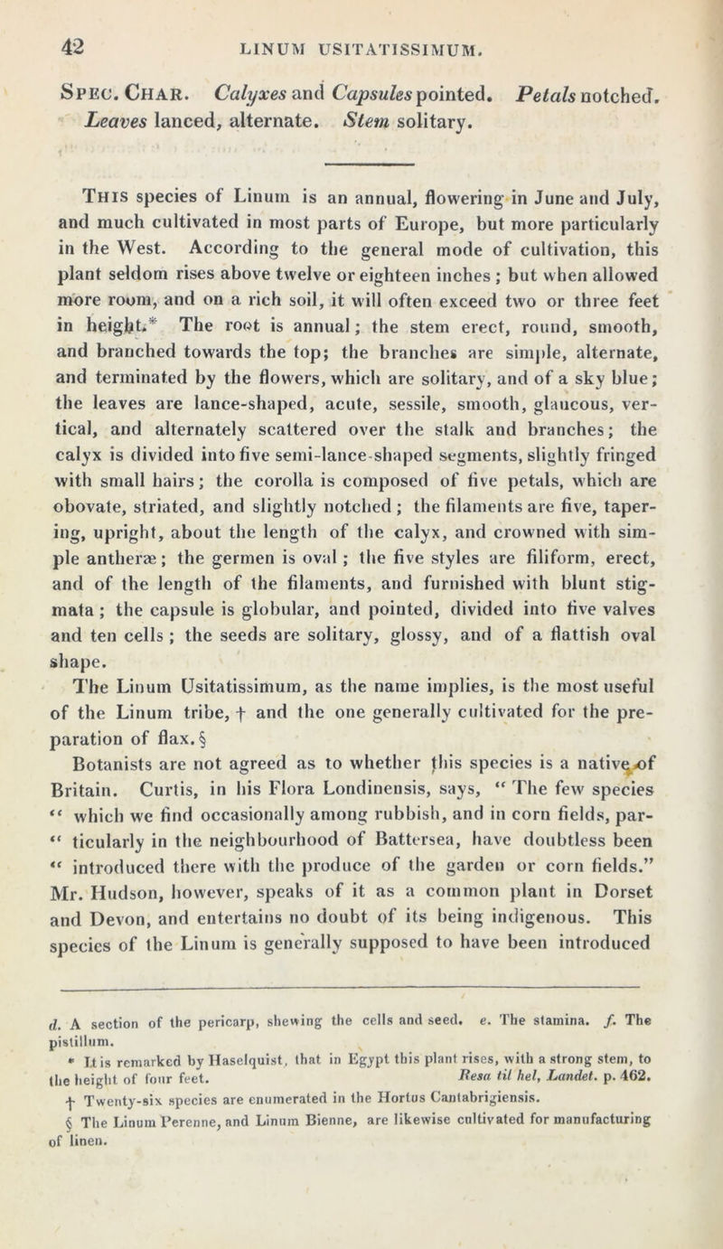Spec. Char. Calyxes and Capsules pointed. Petals notched. Leaves lanced, alternate. Stem solitary. This species of Linum is an annual, flowering in June and July, and much cultivated in most parts of Europe, but more particularly in the West. According to the general mode of cultivation, this plant seldom rises above twelve or eighteen inches ; but when allowed more room, and on a rich soil, it will often exceed two or three feet in height. The root is annual; the stem erect, round, smooth, and branched towards the top; the branches are simple, alternate, and terminated by the flowers, which are solitary, and of a sky blue; the leaves are lance-shaped, acute, sessile, smooth, glaucous, ver- tical, and alternately scattered over the stalk and branches; the calyx is divided into five semi-lance-shaped segments, slightly fringed with small hairs; the corolla is composed of live petals, which are obovate, striated, and slightly notched ; the filaments are five, taper- ing, upright, about the length of the calyx, and crowned with sim- ple antherae; the germen is oval; the five styles are filiform, erect, and of the length of the filaments, and furnished with blunt stig- mata ; the capsule is globular, and pointed, divided into five valves and ten cells ; the seeds are solitary, glossy, and of a flatfish oval shape. The Linum Usitatissimum, as the name implies, is the most useful of the Linum tribe, f and the one generally cultivated for the pre- paration of flax.§ Botanists are not agreed as to whether Jhis species is a native* * * * §of Britain. Curtis, in his Flora Londinensis, says, “ The few' species “ which we find occasionally among rubbish, and in corn fields, par- “ ticularly in the neighbourhood of Battersea, have doubtless been « introduced there with the produce of the garden or corn fields.’' Mr. Hudson, however, speaks of it as a common plant in Dorset and Devon, and entertains no doubt of its being indigenous. This species of the Linum is generally supposed to have been introduced d. A section of the pericarp, shewing the cells and seed. e. The stamina. /. The pistillum. * J.t is remarked by Haselquist, that in Egypt this plant rises, with a strong stem, to the height of four feet. Resa til hel, Landet. p. 462. -j- Twenty-six species are enumerated in the Ilortus Cantabrigiensis. § The Linum Perenne, and Linum Bienne, are likewise cultivated for manufacturing of linen.