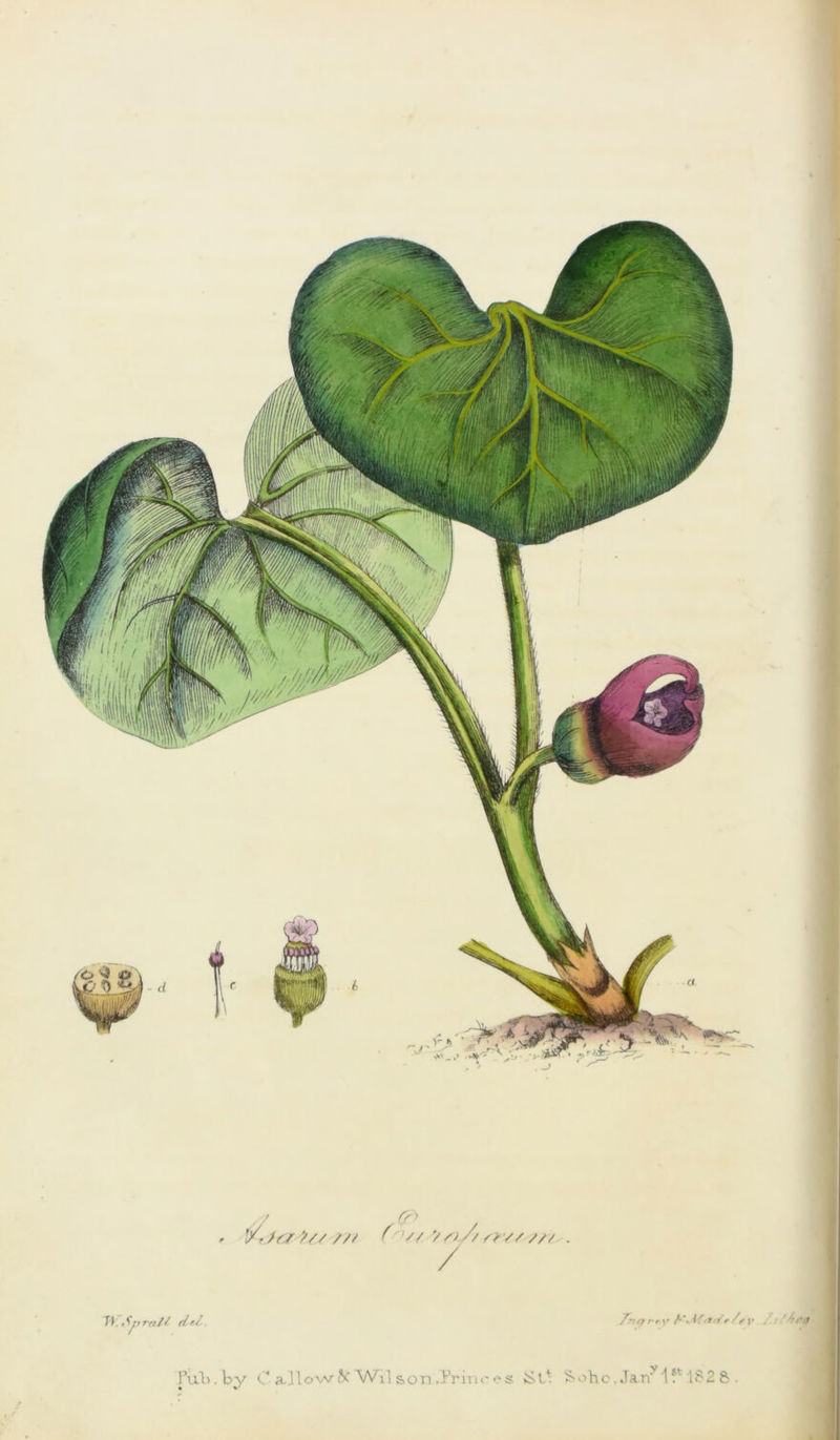 /7 ' '/• >S7 >// /// (n// y ,) /, f), // /// / Tt. * y> rn/ f rl e/ T'tft try <*■', if <r*i r /f y Pub.by C allow Z< Wxl son .Trine e>s &L* S>ohc, Ja.ny1 ?t 182 & .