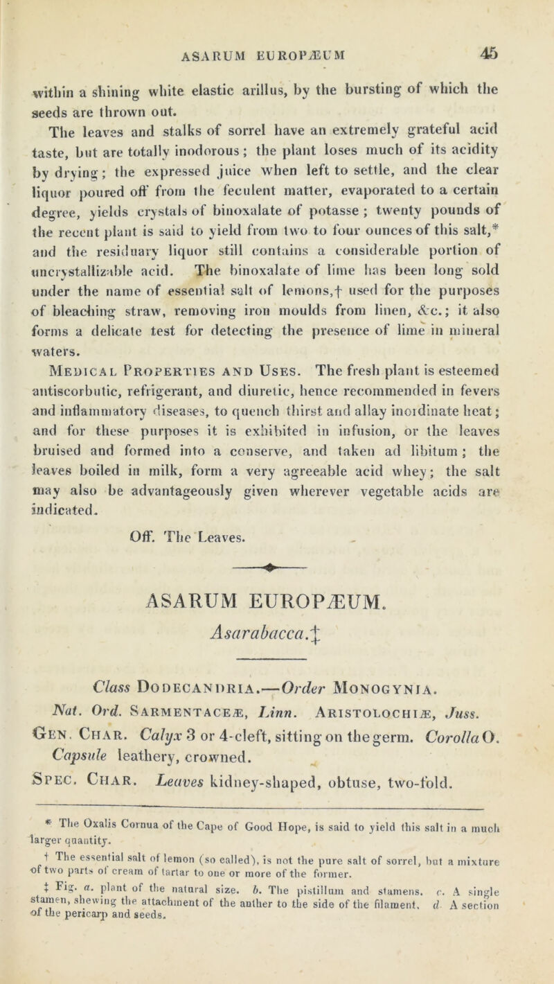 ASA RUM EUllOP/EUM 46 within a shining white elastic arillus, by the bursting of which the seeds are thrown out. The leaves and stalks of sorrel have an extremely grateful acid taste, but are totally inodorous; the plant loses much of its acidity by drying; the expressed juice when left to settle, and the clear liquor poured off from the feculent matter, evaporated to a certain degree, yields crystals of binoxalate of potasse ; twenty pounds of the recent plant is said to yield from two to four ounces of this salt,* and the residuary liquor still contains a considerable portion of uncrystallizable acid. The binoxalate of lime has been long sold under the name of essential salt of lemons,f used for the purposes of bleaching straw, removing iron moulds from linen, &c.; it also forms a delicate test for detecting the presence of lime in mineral waters. Medical Properties and Uses. The fresh plant is esteemed antiscorbutic, refrigerant, and diuretic, hence recommended in fevers and inflammatory diseases, to quench thirst and allay inordinate heat; and for these purposes it is exhibited in infusion, or the leaves bruised and formed into a conserve, and taken ad libitum ; the leaves boiled in milk, form a very agreeable acid whey; the salt may also be advantageously given wherever vegetable acids are indicated. Off. The Leaves. ASARUM EUROPIUM. Asarabacca.\ Class Dodecandria.—Order Monogynia. Nat. Ord. Sarmentace®, Linn. Aristolochije, Juss. Gen. Char. Calyx 3 or 4-cleft, sitting on the germ. CorollaO. Capsule leathery, crowned. Spec. Char. Leaves kidney-shaped, obtuse, two-fold. * The Oxatis Cornua of the Cape of Good Hope, is said to yield this salt in a much larger quantity. 1 The essential salt of lemon (so ealled), is not the pure salt of sorrel, hut a mixture •of two parts ol cream of tartar to one or more of the former. t Eig. a. plant of the natural size. b. The pistilhun and stamens, c. A single stamen, shewing the attachment of the anther to the side of the filament, d A section ol the pericarp and seeds.