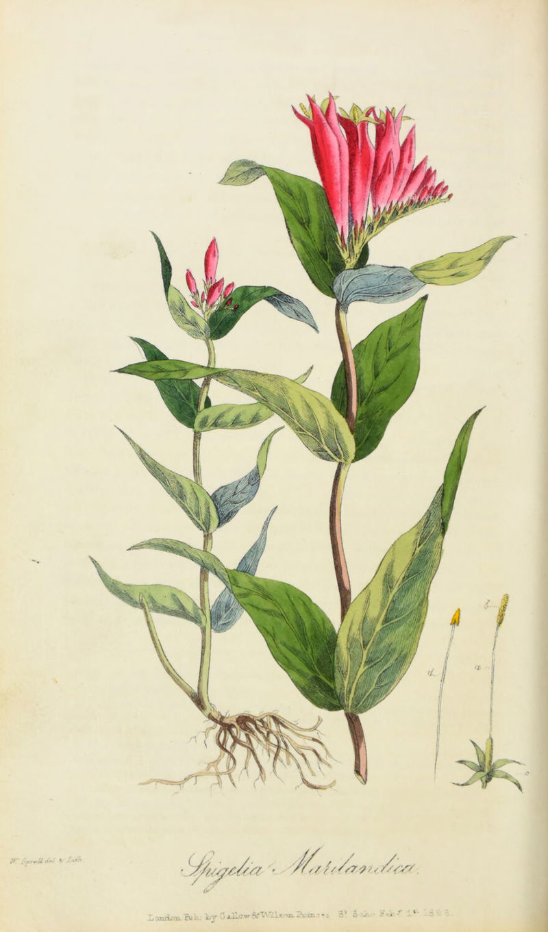 £4 A-pr*i4. /(' K' • tS/i - ////$<//?'?/<//< v/yr *-» <r -i - * r 3 d ■- --■■■»• • t