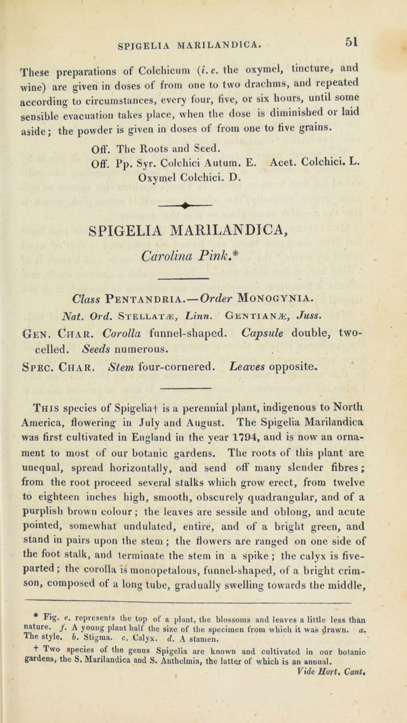 These preparations of Colchicum (*. e. the oxymel, tincture, and wine) are given in doses of from one to two drachms, and repeated according to circumstances, every four, five, or six hours, until some sensible evacuation takes place, when the dose is diminished or laid aside; the powder is given in doses of from one to five grains. Off. The Roots and Seed. Off. Pp. Syr. Colchici Autum. E. Acet. Colchici. L. Oxymel Colchici. D. SPIGELIA MARILANDICA, Carolina Pink,* Class Pentandria. — Order Monogynia. Nat. Ord. Stellate, Linn. Gentian a:, Juss. Gen. Char. Corolla funnel-shaped. Capsule double, two- celled. Seeds numerous. Spec. Char. Stem four-cornered. Leaves opposite. This species of Spigeliaf is a perennial plant, indigenous to North America, flowering in July and August. The Spigelia Marilandica was first cultivated in England in the year 1794, and is now an orna- ment to most of our botanic gardens. The roots of this plant are unequal, spread horizontally, and send off many slender fibres; from the root proceed several stalks which grow erect, from twelve to eighteen inches high, smooth, obscurely quadrangular, and of a purplish brown colour; the leaves are sessile and oblong, and acute pointed, somewhat undulated, entire, and of a bright green, and stand in pairs upon the stem ; the flowers are ranged on one side of the foot stalk, and terminate the stem in a spike ; the calyx is five- parted; the corolla is monopetalous, funnel-shaped, of a bright crim- son, composed of a long tube, gradually swelling towards the middle. * Fig. e. represents the top of a plant, the blossoms and leaves a little less than nature. J. A young plant halt the size of the specimen from which it was $rawn. a. The style, b. Stigma, c. Calyx, d. A stamen. + Two species of the genus Spigelia are known and cultivated in our botanic gardens, the S. Marilandica and S. Anthelmia, the lattor of which is an annual. Vide Hort, Cant, t