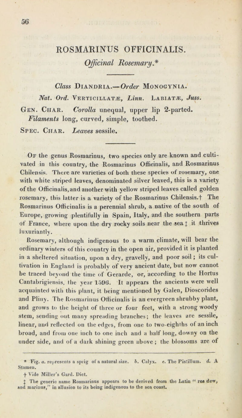 ROSMARINUS OFFICINALIS. Officinal Rosemary * Class Diandria.— Order Monogynia. Nat. Ord. Verticillat^e, Linn. Labiate, Juss. Gen. Char. Corolla unequal, upper lip 2-parted. Filaments long-, curved, simple, toothed. Spec. Char. Leaves sessile. Of the genus Rosmarinus, two species only are known and culti- vated in this country, the Rosmarinus Officinalis, and Rosmarinus Chilensis. There are varieties of both these species of rosemary, one with white striped leaves, denominated silver leaved, this is a variety of the Officinalis, and another with yellow striped leaves called golden rosemary, this latter is a variety of the Rosmarinus Chilensis.t The Rosmarinus Officinalis is a perennial shrub, a native of the south of Europe, growing plentifully in Spain, Italy, and the southern parts of France, where upon the dry rocky soils near the sea J it thrives luxuriantly. Rosemary, although indigenous to a warm climate, will bear the ordinary winters of this country in the open air, provided it is planted in a sheltered situation, upon a dry, gravelly, and poor soil; its cul- tivation in England is probably of very ancient date, but now cannot be traced beyond the time of Gerarde, or, according to the Hortus Cantabrigiensis, the year 1596. It appears the ancients were well acquainted with this plant, it being mentioned by Galen, Dioscorides and Pliny. The Rosmarinus Officinalis is an evergreen shrubby plant, and grows to the height of three or four feet, with a strong woody stem, sending out many spreading branches; the leaves are sessile, linear, and reflected on the edges, from one to two-eighths of an inch broad, and from one inch to one inch and a half long, downy on the under side, and of a dark shining green above; the blossoms are of * Fig. a. represents a sprig of a natural size. b. Calyx, c. The Pistilluin. d. A Stamen. f Vide Miller’s Gard. Diet. | The generic name Rosmarinus appears to be derived from the Latin ros dew, and marimis,” in allusion to its being indigenous to the sea coast.