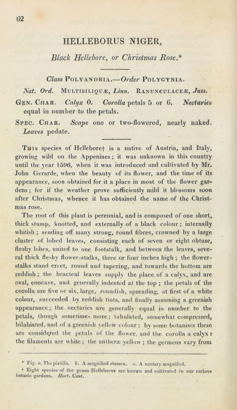 HELLEBORUS NIGER, Black Hellebore, or Christmas Rose * Class Polyandria.—Order Polygynia. Nat. Ord. Multisiliqu#:, Linn. Ranunculacea:, Juss. Gen. Char. Calyx 0. Corolla petals 5 or 6. Nectaries equal in number to the petals. Spec. Char. Scape one or two-flowered, nearly naked. Leaves pedate. This species of Helleboref is a native of Austria, and Italy, growing wild on the Appenines; it was unknown in this country until the year 1596, when it was introduced and cultivated by Mr. John Gerarde, when the beauty of ils flower, and the time of its appearance, soon obtained for it a place in most of the flower gar- dens ; for if the weather prove sufficiently mild it blossoms soon after Christmas, whence it has obtained the name of the Christ- mas rose. The root of this plant is perennial, and is composed of one short, thick stump, knotted, and externally of a black colour ; internally whitish ; sending off many strong, round fibres, crowned by a large cluster of lobed leaves, consisting each of seven or eight obtuse, fleshy lobes, united to one footstalk, and between the leaves, seve- ral thick fleshy flower-stalks, three or four inches high ; the flower- stalks stand eiact, round and tapering, and towards the bottom are reddish ; the bracteal leaves supply the place of a calyx, and are oval, concave, and generally indented at the top ; the petals of the corolla are five or six, large, roundish, spreading, at first of a white colour, succeeded by reddish tints, and finally assuming a greenish appearance; the nectaries are generally equal in number to the petals, though sometimes more; tubulated, somewhat compressed, bilabiated, and of a greenish yellow colour: by some botanists these are considered ihe petals of the flower, and the corolla a calyx i the filaments are white; the antherae yellow ; the gennens vary from * Fig. a. Thepistilla. b. A magnified stamen, c. A nectary magnified. t Eight species of the genns Helleborus are known and cultivated in our various botanic gardens, llort. Cant.