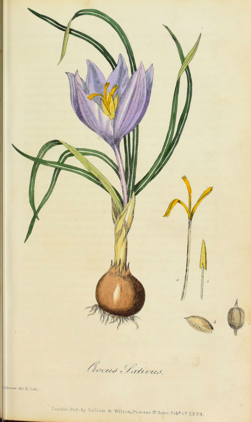 fyvw«V ffr/ . L on.d.07:. K,J,: hy C all ow