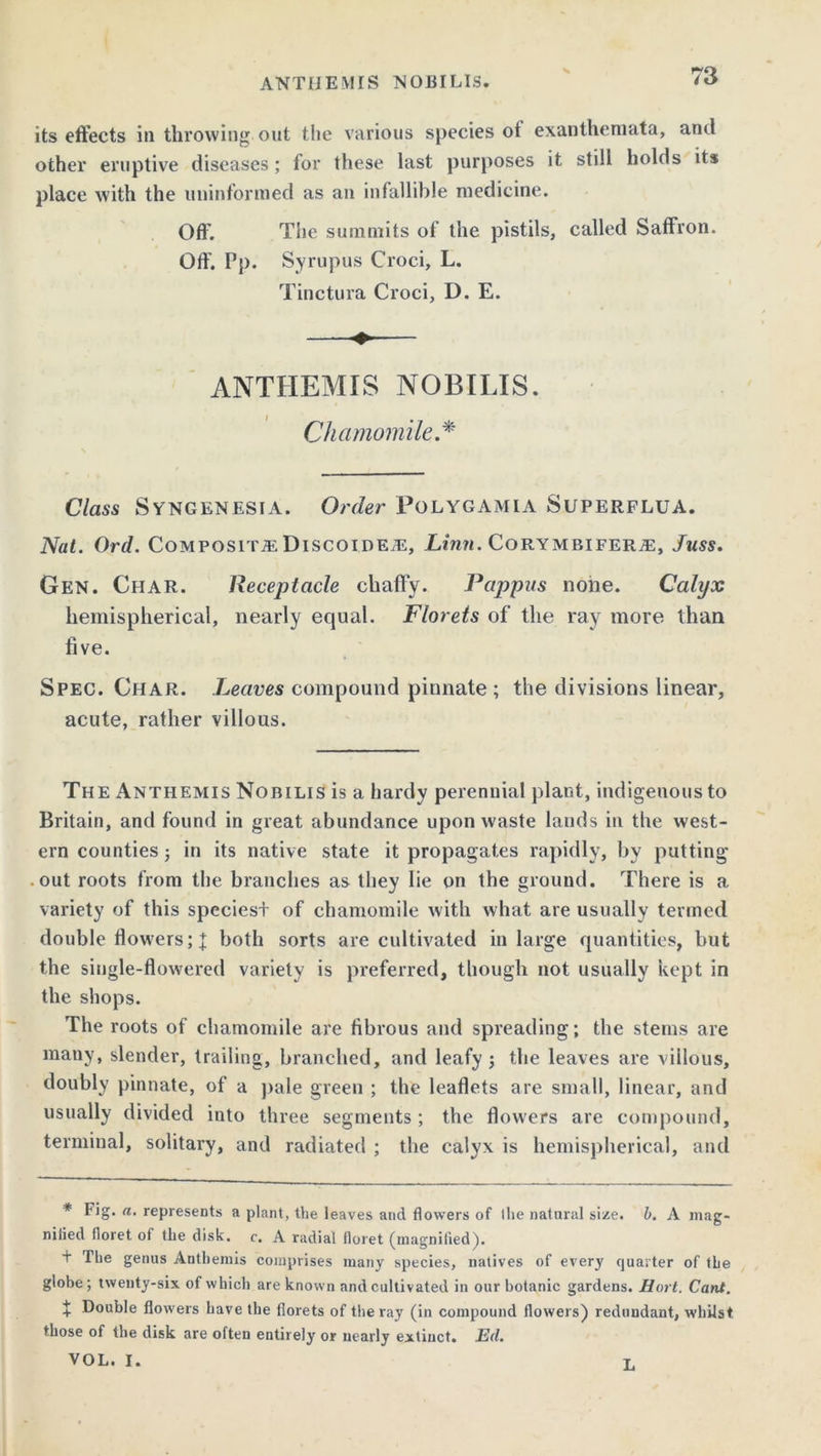 73 its effects in throwing out the various species of exanthemata, and other eruptive diseases; for these last purposes it still holds its place with the uninformed as an infallible medicine. Off. The summits of the pistils, called Saffron. Off. Pp. Syrupus Croci, L. Tinctura Croci, D. E. ANTHEMIS NOBILIS. Chamomile.* Class Syngenesia. Order POLYGAMIA SUPERFLUA. Nat. Ord. Composite DiscoidE/E, Linn. Corymbiferje, Juss. Gen. Char. Receptacle chaffy. Pappus none. Calyx hemispherical, nearly equal. Florets of the ray more than five. Spec. Char. Leaves compound pinnate; the divisions linear, acute, rather villous. The Anthemis Nobilis is a hardy perennial plant, indigenous to Britain, and found in great abundance upon waste lands in the west- ern counties; in its native state it propagates rapidly, by putting .out roots from the branches as they lie on the ground. There is a variety of this speciest of chamomile with what are usually termed double flowers; % both sorts are cultivated in large quantities, but the single-flowered variety is preferred, though not usually kept in the shops. The roots of chamomile are fibrous and spreading; the stems are many, slender, trailing, branched, and leafy; the leaves are villous, doubly pinnate, of a pale green ; the leaflets are small, linear, and usually divided into three segments ; the flowers are compound, terminal, solitary, and radiated ; the calyx is hemispherical, and * Fig* a- represents a plant, the leaves and flowers of ilie natural size. b. A mag- nified floret of the disk. c. A radial floret (magnified). + The genus Anthemis comprises many species, natives of every quarter of the globe; twenty-six of which are known and cultivated in our botanic gardens. Hort. Cant. + Double flowers have the florets of the ray (in compound flowers) redundant, whilst those of the disk are often entirely or nearly extinct. Ed. VOL. I. t