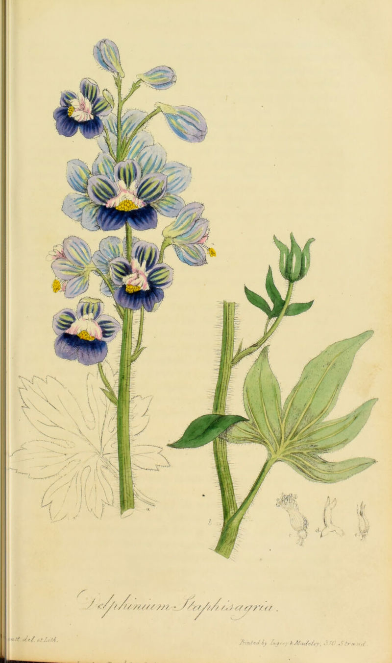 A, /// • //<■/////.A I * V </»/ , '/.,/A. /' *tlea 6y / v c/ - • ■ A Mh/c/rV, •' '(■ • ' .V/»• >,/