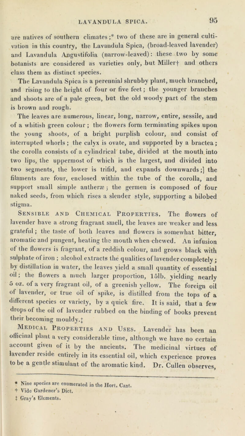 95 are natives of southern climates ;* two of these are in general culti- vation in this country, the Lavandula Spica, (broad-leaved lavender) and Lavandula Angustifolia (narrow-leaved): these two by some botanists are considered as varieties only, but Millerf and others class them as distinct species. The Lavandula Spica is a perennial shrubby plant, much branched, and rising to the height of four or five feet; the younger branches and shoots are of a pale green, but the old woody part of the stem is brown and rough. The leaves are numerous, linear, long, narrow, entire, sessile, and of a whitish green colour ; the flowers form terminating spikes upon the young shoots, of a bright purplish colour, and consist of interrupted whorls; the calyx is ovate, and supported by a bractea; the corolla consists of a cylindrical tube, divided at the mouth into two lips, the uppermost of which is the largest, and divided into two segments, the lower is trifid, and expands downwards;] the filaments are four, enclosed within the tube of the corolla, and support small simple antherze 3 the germen is composed of four naked seeds, from which rises a slender style, supporting a bilobed stigma. Sensible and Chemical Properties. The flowers of lavender have a strong fragrant smell, the leaves are weaker and less grateful; the taste of both leaves and flowers is somewhat bitter, aromatic and pungent, heating the mouth when chewed. An infusion of the flowers is fragrant, of a reddish colour, and grows black with sulphate of iron ; alcohol extracts the qualities of lavender completely ; by distillation in water, the leaves yield a small quantity of essential oil; the flowers a much larger proportion, 15lb. yielding nearly 5 oz. of a very fragrant oil, of a greenish yellow. The foreign oil of lavender, or true oil of spike, is distilled from the tops of a different species or variety, by a quick fire. It is said, that a few drops of the oil of lavender rubbed 011 the binding of books prevent their becoming mouldy.;}; Medical Properties and Uses. Lavender has been an officinal plant a very considerable time, although we have no certain account given of it by the ancients. The medicinal virtues of lavender reside entirely in its essential oil, which experience proves to be a gentle stimulant of the aromatic kind. Dr. Cullen observes. * Nine species are enumerated in the Hort. Cant. + Vide Gardener’s Diet. t Gray’s Elements.