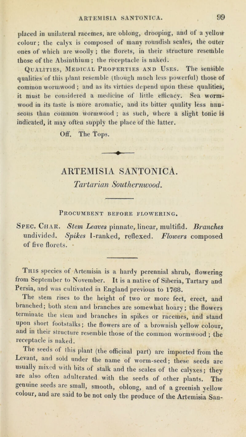 placed in unilateral racemes, are oblong, drooping, and ot a yellow colour; the calyx is composed of many roundish scales, the outer ones of which are woolly ; the florets, in their structure resemble those of the Absinthium ; ihe receptacle is naked. Qualities, Medical Properties and Uses. The sensible qualities of this plant resemble (though much less powerful) those of common wormwood ; and as its virtues depend upon these qualities, it must be considered a medicine of little efficacy. Sea worm- wood in its taste is more aromatic, and its bitter quality less nau- seous than common wormwood ; as such, where a slight tonic is indicated, it may often supply the place of the latter. Oft'. The Tops. ARTEMISIA SANTONICA. Tartarian Southernwood. Procumbent before flowering. Spec. Char. Stem Leaves pinnate, linear, multifid. Branches undivided. Spikes 1-ranked, reflexed. Flowers composed of five florets. • This species of Artemisia is a hardy perennial shrub, flowering from September to November. It is a native of Siberia, Tartary and Persia, and was cultivated in England previous to 1768. The stem rises to the height of two or more feet, erect, and branched; both stem and branches are somewhat hoary; the flowers teiminate the stem and branches in spikes or racemes, and stand upon short footstalks; the flowers are of a brownish yellow colour, and in their structure resemble those of the common wormwood ; the receptacle is naked. The seeds of this plant (the officinal part) are imported from the Levant, and sold under the name of worm-seed; these seeds are usually mixed with bits of stalk and the scales of the calyxes; they are also often adulterated with the seeds of other plants. The genuine seeds are small, smooth, oblong, and of a greenish yellow colour, and are said to be not only the produce of the Artemisia Sail-