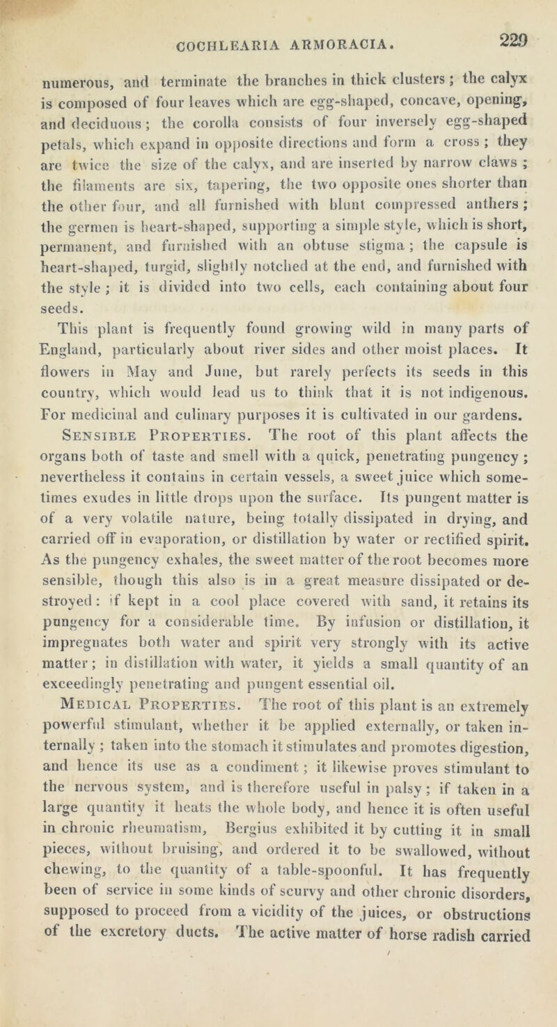 22!) numerous, and terminate the branches in thick clusters ; the calyx is composed of four leaves which are egg-shaped, concave, opening, and deciduous ; the corolla consists of four inversely egg-shaped petals, which expand in opposite directions and form a cross; they are twice the size of the calyx, and are inserted by narrow claws ; the filaments are six, tapering, the two opposite ones shorter than the other four, and all furnished with blunt compressed anthers ; the germen is heart-shaped, supporting a simple style, which is short, permanent, and furnished with an obtuse stigma ; the capsule is heart-shaped, turgid, slightly notched at the end, and furnished with the style ; it is divided into two cells, each containing about four seeds. This plant is frequently found growing wild in many parts of England, particularly about river sides and other moist places. It flowers in May and June, but rarely perfects its seeds in this country, which would lead us to think that it is not indigenous. For medicinal and culinary purposes it is cultivated in our gardens. Sensible Properties. The root of this plant affects the organs both of taste and smell with a quick, penetrating pungency ; nevertheless it contains in certain vessels, a sweet juice which some- times exudes in little drops upon the surface. Its pungent matter is of a very volatile nature, being totally dissipated in drying, and carried off in evaporation, or distillation by water or rectified spirit. As the pungency exhales, the sweet matter of the root becomes more sensible, though this also is in a great measure dissipated or de- stroyed : 'f kept in a cool place covered with sand, it retains its pungency for a considerable time. By infusion or distillation, it impregnates both water and spirit very strongly with its active matter; in distillation with water, it yields a small quantity of an exceedingly penetrating and pungent essential oil. Medical Properties. The root of this plant is an extremely powerful stimulant, whether it be applied externally, or taken in- ternally ; taken into the stomach it stimulates and promotes digestion, and hence its use as a condiment; it likewise proves stimulant to the nervous system, and is therefore useful in palsy ; if taken in a large quantity it heats the whole body, and hence it is often useful in chronic rheumatism, Bergius exhibited it by cutting it in small pieces, without bruising, and ordered it to be swallowed, without chewing, to the quantity of a table-spoonful. It has frequently been of service in some kinds of scurvy and other chronic disorders, supposed to proceed from a vicidity of the juices, or obstructions of the excretory ducts. The active matter of horse radish carried