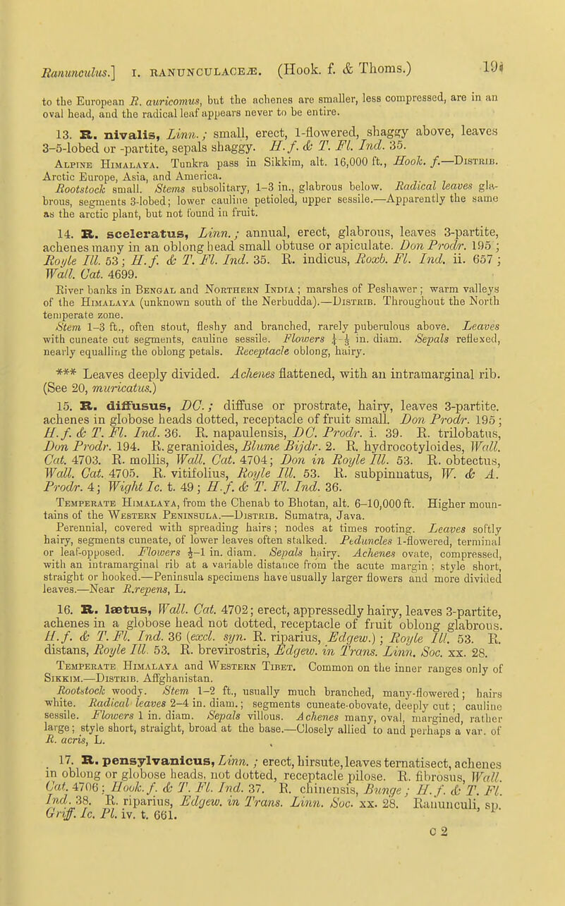 to the European B. auricomus, but the achenes are smaller, less compressed, are in an oval head, aud the radical leaf appears never to be entire. 13. R. nivalis, Linn.; small, erect, 1-flowered, shaggy above, leaves 3-5-lobed or -partite, sepals shaggy. H.f. & T. FL hid. 35. Alpine Himalaya. Tunkra pass in Sikkim, alt. 16,000 ft., Hooli. /.—Distrib. Arctic Europe, Asia, and America. Bootstock small. Stems subsolitary, 1-3 in., glabrous below. Radical leaves gla- brous, segments 3-lobed; lower cauliiie petioled, upper sessile.—Apparently the same as the arctic plant, but not Ibund in fruit. 14. II. sceleratus, Linn.; annual, erect, glabrous, leaves 3-partite, achenes many in an oblong head small obtuse or apiculate. Don Prodr. 195 ; Roi/le III. 63; H.f. & T. Fl. Ind. 35. E. indicus, Roxb. FL Ind. ii. 657 ; Wall. Cat. 4699. Kiver banks in Bengal and Northern India ; marshes of Pesbawer ; warm valleys of the Himalaya (unknown south of the Nerbudda).—Distrib. Throughout the North temperate zone. Stem 1-3 ft., often stout, fleshy and branched, rarely puberulous above. Leaves with cuneate cut segments, cauline sessile. Flowers | in. diam. Sepals reflexed, nearly equalling the oblong petals. Receptacle oblong, hairy. *** Leaves deeply divided. Achenes flattened, with an intraraarginal rib. (See 20, muricatus.) 15. It. diffusus, DC.; diffuse or prostrate, hairy, leaves 3-partite. achenes in globose heads dotted, receptacle of fruit small. Don Prodr. 195; H.f. & T. Fl. Ind. 36. R. napaulensis, DC. Prodr. i. 39. E. trilobatus, Don Prodr. 194. E. geranioides, ^^wnie ^lyc/r. 2. E. hydrocotyloides, Wall. Cat. 4703. E. mollis, Wcdl. Cat. 4704; Don in Roxjle III. 53. E. obtectus, Wall. Gat. 4705. E. vitifolius, Royle III. 53. E. subpinnatus, W. & A. Prodr. 4; Wight Ic. t. 49 ; H.f.& T. Fl. Ind. 36. Temperate Himalaya, from the Chenab to Bhotan, alt. 6-10,000 ft. Higher moun- tains of the Western Peninsula.—Distrib. Sumatra, Java. Perennial, covered with spreading hairs ; nodes at times rooting. Leaves softly hairy, segments cuneate, of lower leaves often stalked. Ftduncles 1-flowered, terminal or leaf-opposed. Flowers ^-1 in. diam. Sepals hwiry. Achenes ovate, compressed, with an intramarginal rib at a vaiiable distance from the acute mara;in ; style short, straight or hooked.—Peninsula specimens have usually larger flowers and more divided leaves.—Near R.repens, L. 16. R. Isetus, Wall. Gat. Aim; erect, appressedly hairy, leaves 3-partite, achenes in a globose head not dotted, receptacle of fruit oblong glabrous. //./. & T.Fl. Ind. 36 [excl. syn. E. riparius, Fdgew.) ; Royle HI. 53. E. distans, Royle III. 53. E. brevirostris, Fdgew. in Trans. Linn. Soc. xx. 28. Temperate Himalaya and Western Tibet. Common on the inner ranges only of Sikkim.—Distrib. Afighanistan. Rootstock woody. Stem 1-2 ft, usually much branched, many-flowered; hairs white. Radical leaves 2-4: in. diam.; segments cuneate-obovate, deeply cut; cauline sessile. Flowers 1 in. diam. Sepals villous. Achenes many, oval, margined, rather large; style short, straight, broad at the base.—Closely allied to and perhaps a'var. of R. acris, L. _ 17 R. pensylvanicus, Lin7i.; erect, hirsute, leaves ternatisect, achenes in oblong or globose heads, not dotted, receptacle pilose. E. fibrosus. Wall Cat. 4706 ; Hook.f. & T. Fl. Ind. 37. E. chiiiensis, Bunge ; H. f. d- T. FL Ind-Ji8. E. riparius, Fdgew. in Trans. Linn. Soc. xx. 28. Eaiiunculi, sp. Gnff. Ic. PI. iv. t. 661. C 2