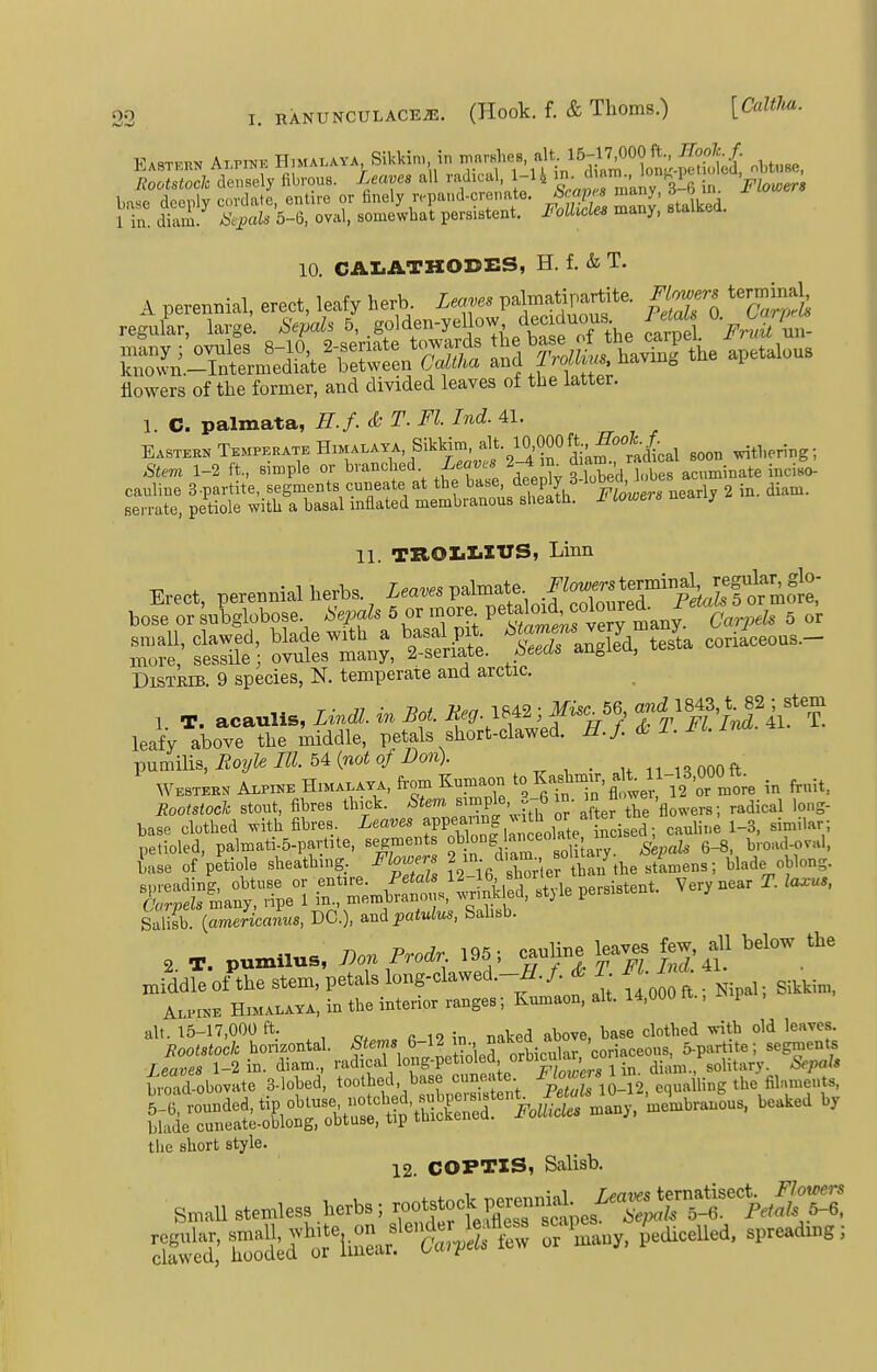 EA8T.nN A.Pn,. Hnu..vA Sikkin, in obtuse, Rootstoch densely fibrous. Leaves all I'-'^^i'^'^l. ^; ^'^'^Ye in. Flowers base deeply cordate, entire or hnely n-pand-crenate. many sta ked. 1 in. diam. tie:pals 5-6, oval, somewhat persistent. I'oUiUes many, 8i,diis.i.u. 10. CALATHODES, H. f. & T. A perennial, erect, leafy herb Lea.es pal™atipartite. Flr^ers terrninal regular, large. Sepals 5, golden-yellow dec ^uous lelaU ^p^diZn- mtny;'ovules 8-10 2-seriate tcmards b|se J ^/^vTuf the known.—Intermediate between Caltha and i?o«M«.ncivmo i flowers of the former, and divided leaves of the latter. 1. C. palmata, H.f. & T. Fl. Ind. 41. Eastebk Temperate Himalaya, Sikkim, ^It-ZO'^OO^j^f^tdLl soon ^tl.ering; Stem 1-2 ft., simple or branehed Leav^ 2-4 ^^Z'^aX^^ acuminate inciL ::Ste: ^eSfwitraraS tttit^lsS^ neany 2 in. dian.. 11. TROIililTJS, Linn Erect, perennial herbs, leaves v^r^^ Flo.^^^^^^^^ boseorsubglobose ^ '^'^'^l^^^^^^^^^ Carpels 5 ov Z^:fS^\'^^^^Xr^^- Sra, tes^a coriaceous.- DisTRiB. 9 species, N. temperate and arctic. leafy above the middle, petals short-clawed, i?./ c&i.^^^ pumilis, i?02/fe7K. 54 (noio/i^on). _ unnOOOft Westbkn Alpike Himalaya, from Kumaon to K-^^^^f,/, /^more in fruit, Rootstock stout, fibres thick. Stem ^;,':?Pl'^;.r-6 ^r the ^ radical long- base clothed ^ith fibres. Leaves f . JXte incised ; cauhne 1-3, similar; petioled, palmati.5-partite, segments 'SLary Sepals 6-8, b,oad-oval, tase of'petiole sheathing. Flowers J te stlmens; blade oblong. C^m£S.^:.!^^S^le Pe— Very near T. la^s, SaliTb. {amelicaLs, DC), ..n^patulus, Sahsb. 2 T. pumilus, Don Prodr 195; cauHne leaves few, all below the Hiiddfeof^he stem, petals long-clawed.-^J^^^^ f 00 1 Nipal; Sikkim, Alpike Himalaya, in the interior ranges; Kumaon, alt. 14,0UU , l alt. 15-17,000 ft. 1^ J base clothed ^ntb old leaves. Rootstock horizontal. '^*;^^7«i^-^j3^t^,'ied orbicular, coriaceous, 5-partite; segments ^=;^Le 3& ^hJ^r2,tuaihSrfii.S the short style. 12. COPTIS, Salisb. S..11 stemles, herbs; ^^^^^^^^ SS; rSauy, ^.aiceUed, spreadu.g.