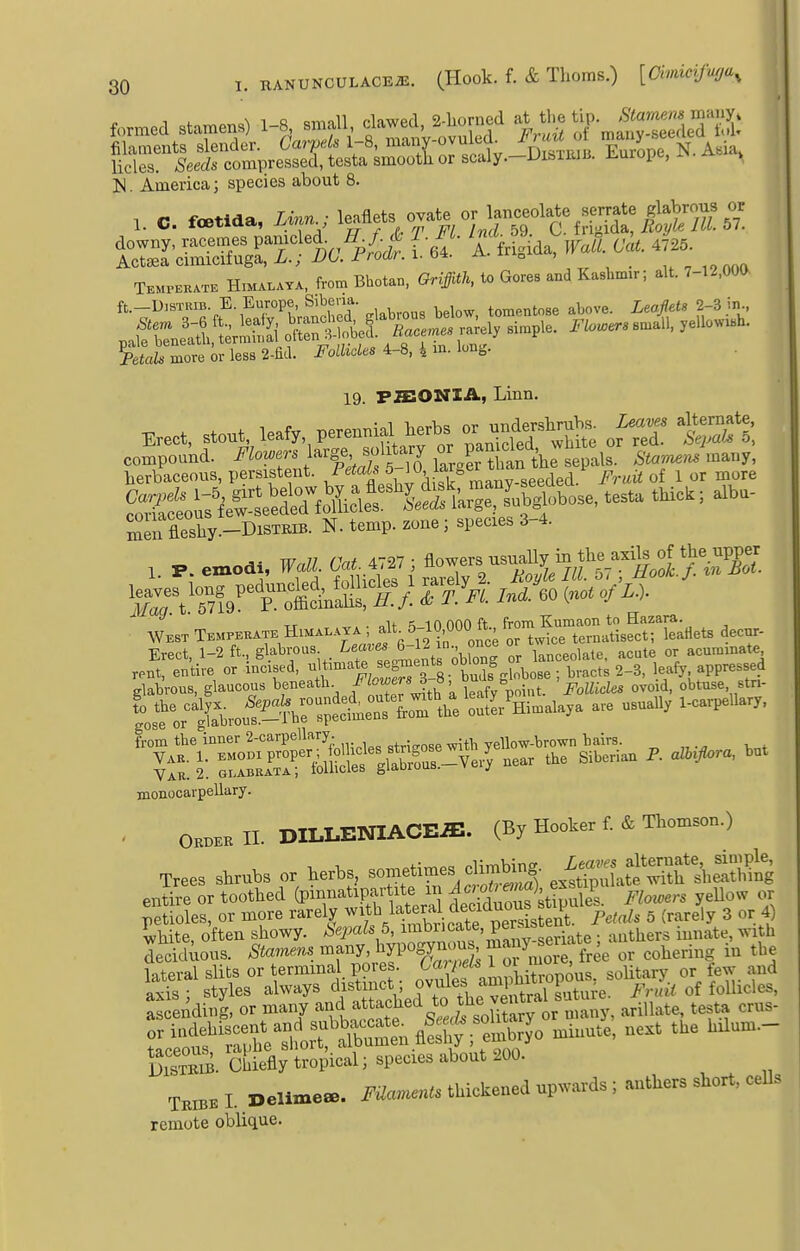 formed stamens) 1-8, small, clawed, 2.1iorned ^^^^-^^jf!^:^^ ]S1. America; species about 8. ^^:SS^ic'^^<^- i--- A. M,.da, «. cat. 47.5 TEMrEKvr. Himalaya, from Bhotan, Griffith, to Gores and Kashmir; alt. 7-12.00a ft._D.sTRiB E Europe, S.bena. tomentose above. Leaflets 2-3 in palfbTnettl^ erS o'a:Sot&^^ simple. Flo.ers sn^.U, yellow.h. Sarmore m- less 2-fia. Follicles 4-8, 4 m. long. 19. PffiONIA, Linn. Erect, stent, leafy, perennial herbs ^J^^^^ ^f-^ compound. J'^owers^vge^ ^^^^^^^ SgKan ^'l^e sepals. ^W,^. many, herbaceous, persistent. 1 ^*Xlw\liTk manv-seeded. Fruit of 1 or more Sti;V;2ea^^^^^^ ^^^^^ meu fleshy.-DiSTRiB. N. temp, zone; species 3-4. Wall Cat ^iri ; flowers usuaUy in the axils of tje dipper 1. P. emodi, Fatt. • ^' ^^ ^ , 2. Royh III. 57 ; ifoo^-./. w Tkmp^b H«A.AXA ; al. 5-10,000 ft decur- Erect, 1-2 ft., glabrous ^'^^Jf^^^J^  once or ^^^^^ acuminata rent, entire or incised, ^|^°^^^;,^^^^ente oblong ^pp^^^ d glabrous, glaucous beneath f 1^^S point. Follicles ovoid, obtuse stn- from the inner 2-carpellary. ...r^ogg ^jth yellow-brown bairs. monocarpellary. . OKDKK II. DILLENIACE^. (By Hooker f. & Thomson.) Trees shrubs or herb, sometimes cl^b^^^^ e^l^Sng entire or toothed (P^^.^'^^Y^^^^^^^^^^ de iduouf ktpule^^ Flowers yeUow or petioles, or more rarely ^^^/^^^'^^Xicate^ P'^^^^' ^ '^''^^^ ^ ''^f white, often showy, bepah b, P^,!;.„eriate • anthers innate, with deciduous. Stuntens^-^^nyMl^ogY^^^ ^^j^^^ng in the lateral slits or terminal po es g^^^lf'^^-^^:^, ^^, sohtary or few and axis ; styles always t ic^. ovules a^^^^^^ 1^^^^^^ f.H^eles, ascending, or many and attaclied t^^^^^^^^ ^^i^^^, t t crus- SSb. cEiefly tropical; species about 200. TKiBB I. Delime«. Filaments thickened upwards ; anthers short, cells remote oblique.