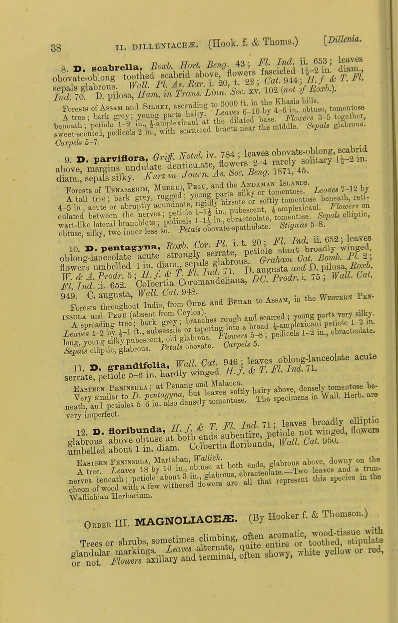 8. D. scabrella, RoA Hort ^-^/. ^;itd lUTn! S! obovate-oblong toothed scabnd above flower^^^ ^. ^, Forests of Assam and Silu.t, ascending to 3000 ft. ^^^^^ ^J;,,, t^^entose A tree; bark grey; young paftB_ ha.ry. -^f phwers 3-5 together, ^-'^ Carpels 5-7. rt -vr Ar«/,/7 iv 784 • leaves obovate-oblong, scabnd above, margins undulate denticulate, nowers , 87/45, diam. sepals silky. Kurz Journ. J . hoc Beng. 1871 J> Forests of Tkkassekxm, Mbuou, ^^7^^'^^^^^ iea«e. 7-12 by A tall tree; bark grey, rugged y^P^f P^^^^^'^yj^, beneath, reti- I, . /.^^ P7 i t 20- i^^. ii 652; leaves 10. D. pentagyna, i?oaj6. -J^^^^ ^.^^dly winged, oblong-lanceolate acute strongly serrate petiole ^^^^ flowers umbelled 1 in. diam sepals glabrous b^ram ^ ^^^^^^ W. & A. Prodr. 5; H.f. & T^FL ^''^-.^y^^nn^^^^^ i. 75 ; Wall. Cat Fl Ind ii. 652. Colbertia Coromandeliana, UL. rroa,. 949. C. augusta. Wall. Gat 948. Westekn Pek- Forests throughout India, from Oudb and Beh^ to Assam, INSULA and Pego (a\seDt from Ceylon). , ^.^rred ; young parts very silky. A spreading tree; bark grey ; ^™f.;j°Xab^ i-amplexicaul petiole 1-2 m. Leaves 1-2 by i-1 ft.. Bubsess.le f'Sers 5-« ; pedicels 1-2 in., ebracteolate. lone vounff silky pubescent, old glabrous. '^we'* ^ ° > ^ Xa^'elliptic, glabrous. Pe<aZ« obovate. Carpel. 5. ^if^Mc Wall Cat 946 ; leaves oblong-lanceolate acute Jite°peI«T5»rI;'w4d. mJ. * T. Ft. «. 71. Eastern Peninsula; at Penang j^^; above, densely tomentose be- very imperfect. rr ^ J /T- F/ T^.^ 71' leaVfiS broodly elliptic 12. D. florlbunda, BA^T- petiole uot winged, flowers tart\1niat'°'cttLrib.u^^ WaU. C.. .50. i-r sr?8b^Tit!£Sii ''^ j^i&f Seta Wallichiaa Herbarium. 0H.KB m. MAGNOUACEiE. (By Hooker f. & Thomson.) Tree, or *mbs, sometimes oft» a~roatie, -od_i|