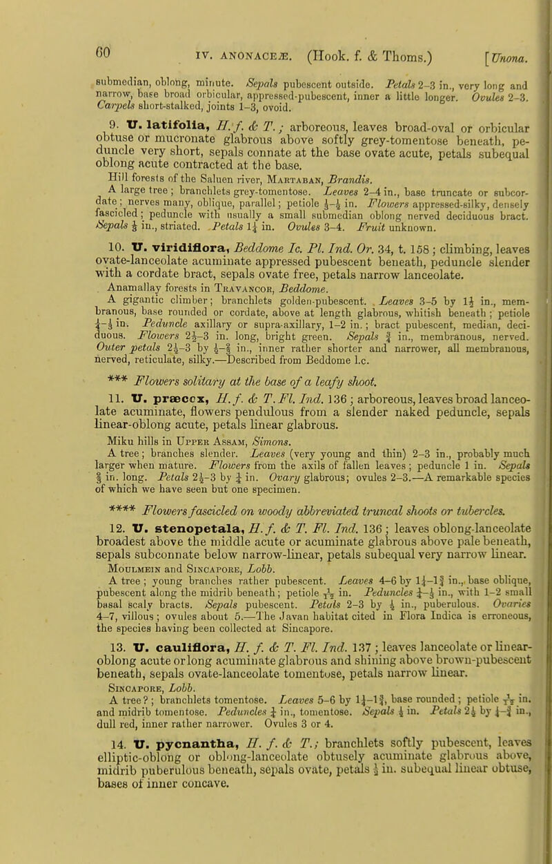 submedian, oWong, minute. Sepals pubescent outside. Petal82-3 in., very long and narrow, base broad orbicular, appresscd-pubescent, inner a little longer. Ovules 2-3. Catpeh sbort-stalkod, joints 1-3, ovoid. 9. XT. latifolla, Tl. f. d; T.; arboreous, leaves broad-oval or orbicular obtuse or mucronate glabrous above softly grey-tomentose beneath, pe- duncle very short, sepals connate at the base ovate acute, petals subequal oblong acute contracted at the base. Hill forests of the Saluen river, Martaban, Brandig. A large tree ; brancblets grey-tomentose. Leaves 2-4 in., base truncate or subcor- date ; nerves many, oblique, parallel; petiole \-\ in. Flowers appressed-silky, densely fascicled; peduncle with usually a small submcdian oblong nerved deciduous bract. tSepah J in., striated. Petals \\ in. Ovules 3-4. Fruit unknown. 10. U. viridlflora, Beddome Ic. PI. Ind. Or. ,34, t. 158; climbing, leaves ovate-lanceolate acuminate appressed pubescent beneatli, peduncle slender with a cordate bract, sepals ovate free, petals narrow lanceolate. Anamallay forests in Travancor, Beddome. A gigantic climber; branchlets golden-pubescent. Leaves 3-5 by 1\ in., mem- branous, ba.se rounded or cordate, above at length glabrous, whitish beneath ; petiole ^-3 in. Peduncle axillary or supra-axillary, 1-2 in.; bract pubescent, median, deci- duous. Flowers 2J-3 in. long, bright green. Sepals | in., membranous, nerved. Outer petals 2^-3 by 4-| in., inner rather shorter and narrower, all membranous, nerved, reticulate, silky.—Described from Beddome I.e. *** Flowers solitary at the base of a leafy shoot. 11. tr. praecox, H.f. & T.Fl. Ind. 136; arboreous, leaves broad lanceo- late acuminate, flowers pendulous from a slender naked peduncle, sepals linear-oblong acute, petals linear glabrous. Miku hills in Upper Assam, Simons. A tree; branches slender. Leaves (very young and thin) 2-3 in., probably much larger when mature. Flowers from the axils of fallen leaves ; peduncle 1 in. Sepals I in. long. Petals i^-S by ^ in. 0?;ar;/glabrous; ovules 2-3.—^A remarkable species of which we have seen but one specimen. **** Mowers fascicled on woody abbreviated truncal shoots or tubercles. 12. U. stenopetala, Z^./. <& T. Fl. Ind, 136; leaves oblong-lanceolate broadest above the middle acute or acuminate glabrous above pale beneath, sepals subconnate below narrow-linear, petals subequal very narrow linear. MouLMEiN and Singapore, Lohb. A tree ; young branches rather pubescent, fjeaves 4-6 by 1|-If in., base oblique, pubescent along the midrib beneath; petiole ^ in. Peduncles J-^ in., with 1-2 small basal scaly bracts. Sepals pubescent. Petals 2-3 by { in., puberulous. Ovaries 4-7, villous ; ovules about 5.—The Javan habitat cited in Flora Indica is erroneous, the species having been collected at Sincapore. 13. V. cauliflora, H. f. <& T. Fl. Ind. 137 ; leaves lanceolate or linear- oblong acute or long acuminate glabrous and shining above brown-pubescent beneath, sepals ovate-lanceolate tomentose, petals narrow linear. Sincapore, Lohh. A tree? ; branchlets tomentose. T^eaves 5-6 by IJ-l?, base rounded ; petiole rV j- and midrib tomentose. Peduncles \ in., tomentose. Sepals 4 in. Petals 24 by ^-J in., dull red, inner rather narrower. Ovules 3 or 4. 14. U. pycnantha, H. f. T.; branchlets softly pubescent, leaves elliptic-oblong or obhuig-lanceolate obtusely acuminate glabrous above, midrib puberulous beneath, sepals ovate, petsus ^ in. subequal liuejir obtuse, bases of inner concave.