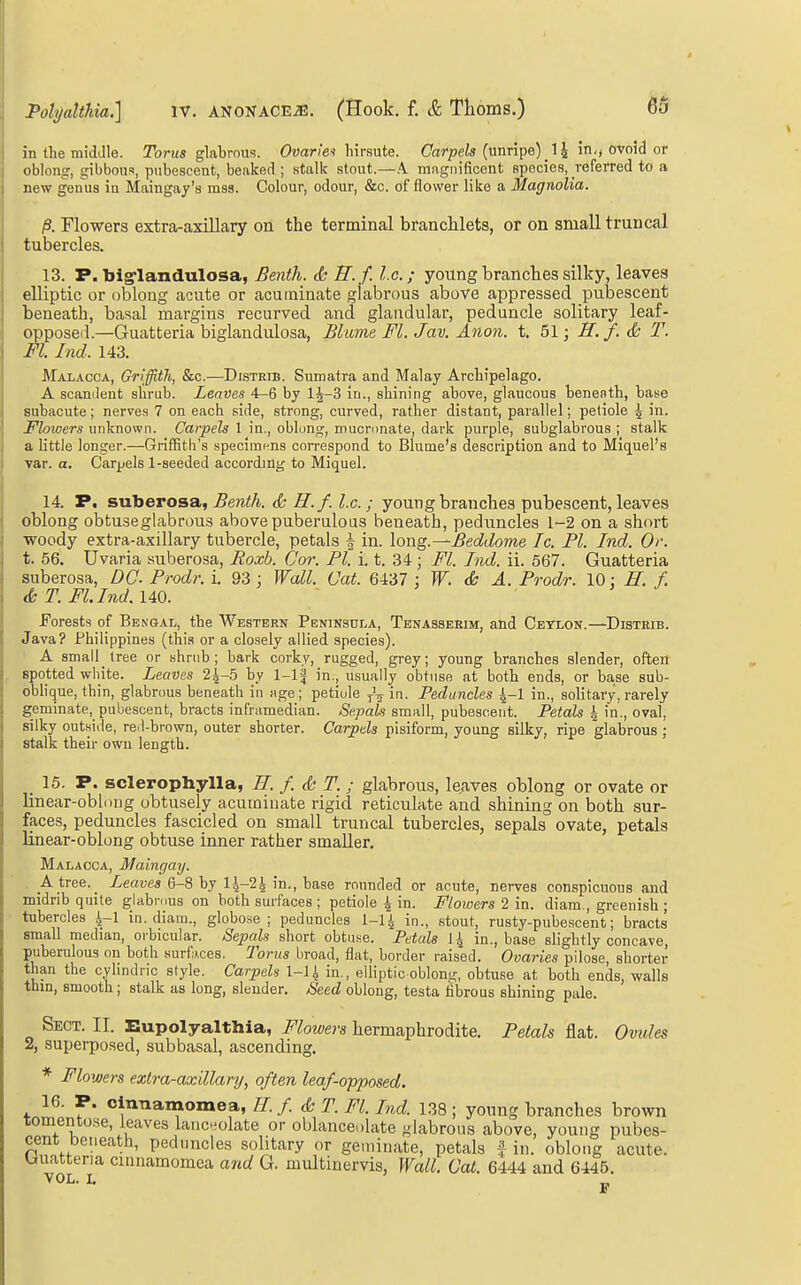 in the middle. TorMS glabrous. Omr/e« hirsute. Corpeis (unripe) _ 1J in-, ovoid or oblong, gibbous, pubescent, beaked ; stalk stout.—.4 magnificent species, referred to a new genus ia Maingay's mss. Colour, odour, &c. of flower like a Magnolia. |8. Flowers extra-axillary on the terminal branchlets, or on small truncal tubercles. 13. P.big-Iandulosa, Benth. (& ff.f. I.e.; youngbrancbessilky, leaves elliptic or oblong acute or acuminate glabrous above appressed pubescent beneath, basal margins recurved and glandular, peduncle solitary leaf- opposed.—Guatteria biglandulosa, Blime Fl. Jav. Anon. t. 51; S. f. & T. Fl. Ind. 143. Malacca, Griffith, &c.—DisTRrB. Sumatra and Malay Archipelago. A scanilent shrub. Leaves 4-6 by lJ-3 iri., shining above, glaucous beneath, base subacute; nerves 7 on each side, strong, curved, rather distant, parallel; petiole \ in. Flowers unknown. Cat-pels 1 in., oblong, miicronate, dark purple, subglabrous ; stalk a little longer.—Griffith's specimens correspond to Blume's description and to Miquel's var. a. Carpels l-seeded according to Miquel. 14. P. svLbero&A, Benth. & H.f. I.e.; young branches pubescent, leaves oblong obtuse glabrous above puberuloas beneath, peduncles 1-2 on a short •woody extra-axillary tubercle, petals \ in. long.—Beddome Ic. PI. Ind. Or. t. 56. Uvaria suberosa, Roxb. Cor. PI. i. t. 34; Fl. Ind. ii. 567. Guatteria suberosa, DO- Prodr. i. 93; Wall. Gat. 6437 \W. & A. Prodr. 10: H. f. & T. Fl.Ind.im. forests of Bengal, the Western Peninsula, Tenasserim, and Cetlon.—Distrib. Java? Philippines (this or a closely allied species). A small tree or shrnb ; bark corky, rugged, grey; young branches slender, often spotted wliite. Leaves 2^-5 by 1-lf in., usually obtuse at both ends, or base sub- oblique, thin, glabrous beneath in age; petiole in- Peduncles ^-1 in., solitary, rarely geminate, pubescent, bracts inframedian. Sc.pah small, pubescent. Petals \ in., oval, silky outside, re.l-brown, outer shorter. Carpels pisiform, young silky, ripe glabrous ; stalk their own length. _ 15. P. sclerophylla, H. /. & T.; glabrous, lejives oblong or ovate or linear-oblong obtusely acuminate rigid reticulate and shining on both sur- faces, peduncles fascicled on small truncal tubercles, sepals ovate, petals linear-oblong obtuse inner rather smaller, Malacca, Maingay. A tree. _ Leaves 6-8 by 1^-2^ in., base rounded or acute, nerves conspicuous and midrib quite glabr.ius on both surfaces ; petiole 4 in. Flowers 2 in. diam., greenish ; tubercles 4-1 in. diam., globose; peduncles I-I4 in., stout, rusty-pubescent; bracts small median, orbicular. Sepals short obtuse. Petals 14 in., base slightly concave, puberulous on both surfices. Torus broad, flat, border raised. Ovaries pilose, shorter than the cylindric style. Carpels 1-1 i in., elliptic oblong, obtuse at both ends, walls thin, smooth; stalk as long, slender. Seed oblong, testa fibrous shining pale. Sect. II. Eupolyalthia, Flowers hermaphrodite. Petals flat. Ovides 2, superposed, subbasal, ascending. * Flowers extra-axillary, often leaf-opposed. 16. P. clnnamomea, H. f <& T. Fl. Ind. 138 ; young branches brown lomentose, leaves lanc4olate or oblanceolate glabrous above, young pubes- cent beneath, peduncles solitary or geminate, petals f in. oblong acute. Uuattena cmnamomea and G. multinervis. Wall. Oat. 6444 and 6445. VOL, I» _