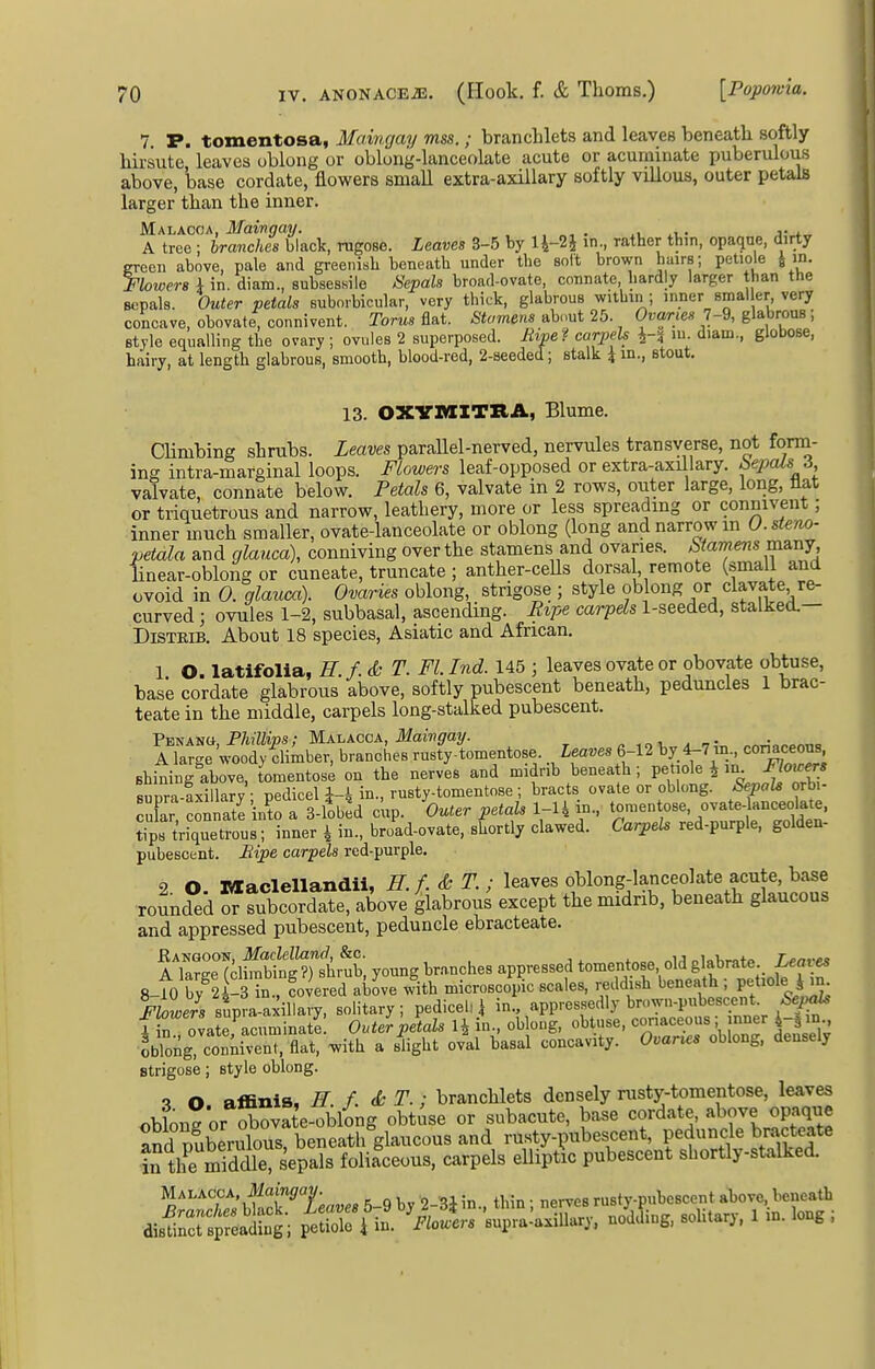 7 P. tomentosa, Maingay mss.; branclilets and leaves beneath softly hirsute leaves oblong or oblung-lanceolate acute or acuminate puberulous above, base cordate, flowers small extra-axillary softly villous, outer petals larger than the inner. Malacca, Maingay. , „, . ^, . 3-^„ A tree ; hranclies black, rugose. Leaves 3-5 by li-2j in., rather thm, opaque, dirty green above, pale and greenish beneath under the soft brown hairs; petiole J in. Flowers \ in. diam., subsessiie Sepals broad-ovate, connate, hardly larger than the sepals. Outer petals suborbicular, very thick, glabrous within ; inner smaller, very concave, obovate, connivent. Torus flat. Stamens ab.mt 25. Ovwries 7-9, glabrous; style equalling the ovary ; ovules 2 superposed. Mipe? carpels i-i m diam., globose, hairy, at length glabrous, smooth, blood-red, 2-seeded; stalk i in., stout. 13. OXVMITRA, Blume. Climbing shrubs. Leaves parallel-nerved, nervules transverse, not form- ing intra-marginal loops. Flowers leaf-opposed or extra-axillary, bepals 3 valvate, connate below. Petals 6, valvate in 2 rows, outer large, long, flat or triquetrous and narrow, leathery, more or less spreading or conmvent; inner much smaller, ovate-lanceolate or oblong (long and narrow in O.stem- petala and glauca), conniving over the stamens and ovaries, btamens many, linear-oblong or cuneate, truncate ; anther-ceUs dorsa , remote (small and ovoid in 0. glauca). Ovaries oblong, strigose ; style oblong or clavate re- curved ; ovules 1-2, subbasal, ascending. Ripe carpels 1-seeded, stalked.— DiSTEiB. About 18 species, Asiatic and African. 1 O. latifolia, H. f. & T. Fl. Ind. 145 ; leaves ovate or obovate obtuse, base cordate glabrous above, softly pubescent beneath, peduncles 1 brac- teate in the middle, carpels long-stalked pubescent. PENANtt, PMZips; Malacca, Maingay. n .c-l a nir. ..^-onnnno A lar-e woody climber, branches rusty-tomentose. Leaves 6-12 by 4-7 in., comceons, Bhining abre, omentos^ on the nerves and midrib beneath; petiole i in Florets Bupra-Lillary ; pedicel i-4 in., rusty-tomentose ; bracts ovate or oblong. Sepals orbi- cuC connate into a S-lVhld cup. Outer petals 1-14 in., '^^'^^'r'r^'^^!^ tips triquetrous; inner ^ in., broad-ovate, shortly clawed. Garpeh red-purple, golden- pubescent. Eipe carpels red-purple. 2 O. Maclellandii, H. f. & T. ; leaves oblong-lanceolate acute, base rounded or subcordate, above glabrous except the midnb, beneath glaucous and appressed pubescent, peduncle ebracteate. iTaSSSrstS; young br.nnches appressed tomentose old glabr^te Leaxe. 8-to ry^2l-3 inTcovered above with microscoi^ scales, reddish beneath ; Pf ole i in^ J'ziLr/supra-axillavy, solitary; pedicel^ in., appressedly brown-pubescent ^i^^ f n ovate acuminate Outer petals H in., oblong, obtuse, coriaceous; nner 4-| in., Ibl^ng, con^irnt, flat, with a slight oval basal concavity. Ovar^es oblong, densely strigose; style oblong. O affinis. E f. (t T.; branchlets densely rusty-tomentose, leaves oblon^ or Xva e-ob4g obtuse or subacute, base cordate, above opaque and puberulous, beneath glaucous and rusty-pubescent, peduncle bracteate in tlfe SX; sepals folilceous, carpels elliptic pubescent sliortly-stalked. Malacca, liamfiroy. thin • nerves rusty-pubescent above, beneath