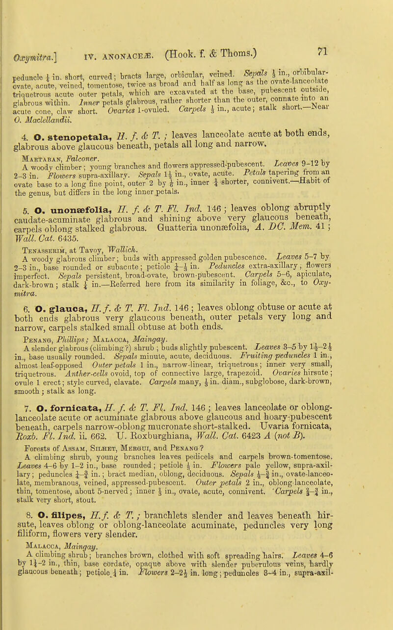 peduncle \ in. short, curved; bracts large, orbicular, veined. Sepals I in, ojlnbular- Lte, acute, veined tomentose, twice as broad and half as long as the ovate-lanceokte triquetrous kcute outer petals, which are excavated at the base, pubescent outside glalrous within. Inner petals glabrous, rather shorter than the outer, connate into an Icute cone, claw short. 0«anes 1-ovuled. Carpels ^ in., acute; stalk short.-Neai 0. Maclellandii. 4. O. stenopetala, H. f. <fc T. ; leaves lanceolate acute at both ends, glabrous above glaucous beneath, petals all long and narrow. Martaban, Falconer. . n i o i, A woodv climber; young branches and flowers appressed-pubescent. Leaves 9-12 by 2-3 in. >Zowers supra-axillary. 5ej>a/s H in., ovate, acute. Peiafe tapering from an ovate base to a long fine point, outer 2 by ^ in., inner i shorter, connivent.—Habit ot the genus, but differs in the long inner petals. 5 O. unoncBfolia, R. /. (k T. Fl. Ind. 146; leaves oblong abruptly caudate-acuminate glabrous and shining above very glaucous beneath, carpels oblong stalked glabrous. Guatteria unonsefolia, A. DC. Mem. 41; Wall. Gat. 6435. Tenasserim, at Tavoy, Wallich. c v. A woody glabrous climber; buds with appressed golden pubescence. Leaves 5-7 by 2-3 in., base rounded or subacute ; petiole in. Peduncles extra-axiUary, flowers Imperfect. Sepals persistent, broad-ovate, brown-pubescent. Carpels 5-6, apiculate, dark-brown; stalk \ in.—Eeferred here from its similarity in foliage, &c., to Oxy- tnitra. 6. O. ^lauoa, E.f. <& T. Fl. Ind. 146 ; leaves oblong obtuse or acute at both ends glabrous very glaucous beneath, outer petals very long and narrow, carpels stalked small obtuse at both ends. Penang, Phillips; Malacca, Maingay. A slender glabrous (climbing ?) shrub ; buds slightly pubescent. Leaves 3-5 by 1 in., base usually rounded. Sepals miuule, acute, deciduous. Fruiting peduncles 1 in., almost leaf-opposed Outer petals 1 in., narrow-linear, triquetrous; inner very small, triquetrous. Anther-cells ovoid, top of connective large, trapezoid. Ovaries hirsute ; ovule 1 erect; style curved, clavate. Carpels many, ^ in. diam., subglobose, dark-brown, smooth; stalk as long. 7. O. fornicata, H. f. <k T. Fl. Ind. 146 ; leaves lanceolate or oblong- lanceolate acute or acuminate glabrous above glaucous and hoary-pubescent beneath, carpels narrow-oblong mucronate short-stalked. Uvaria fornicata, iRoxb. Fl. Ind. il 662. U. Roxburghiana, Wall. Cat. 6423 A {not B). Forests of Assam, Silhet, Mer&ui, and Penang ? A climbing shrub, young branches leaves pedicels and carpels brown-tomentose. Leaves 4-6 by 1-2 in., base rounded; petiole ^ in. Flowers pale yellow, supra-axil- lary; peduncles J-f in.; bract median, oblong, deciduous. Sepals in., ovate-lanceo- late, membranous, veined, appressed-pubescent. Outer petals 2 in., oblong lanceolate, thin, tomentose, about 5-nerved; inner J in., ovate, acute, connivent. 'Carpels |-| in., stalk very short, stout. 8. O. filipes, E.f. & T. ; branchlets slender and leaves beneath hir- sute, leaves oblong or oblong-lanceolate acuminate, peduncles very long filiform, flowers very slender. Malacca, Maingay. A climbing shrub; branches brown, clothed with soft spreading liairs. Leaves by 1^-2 in., thin, base cordate, opaque above with slender puberulous veins, hardly glaucous beneath; petiole J in. Flowers 2-2^ in. long; peduncles 8-4 in., supra-axil-