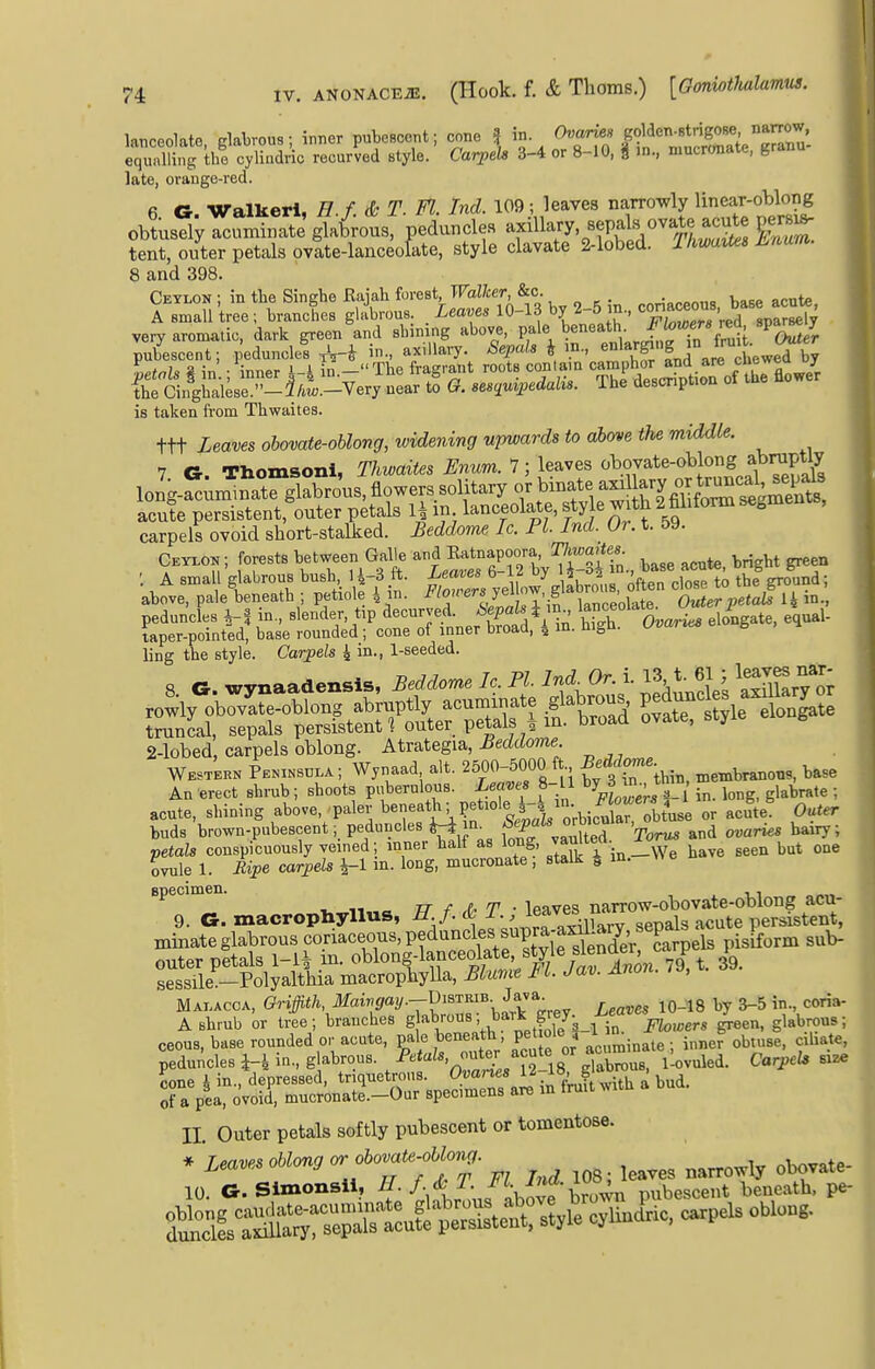 lanceolate, glabrous; inner pubescent; cone ? '^l' Zf^O ll^'^'^^fZh^T^^^- equalling the cyliudric recurved style. CarpeU 3-4 or 8-10, i in., mucrcmaie, gr* late, orange-red. fi G Walkeri, H f. & T. Fl. Ind. 109; leaves narrowly linear-oblong obtusely acuminate glabrous, peduncles ■'^f^^^y^^'^^^^.^^^^^^^^ tent, outer petals ovate-lanceolate, style clavate 2-lobed. lliwaiUi i^auin. 8 and 398. Ceylon ; in the Singhe Rajali f^-'e^t'^FaZ/cer &c „riaceou8 base acute, A small tree ; branches glabrous. _ Leaves 10-13 by 2-5 J^-- Vej sparsely very aromatic, dark green and sbining above, P«l\'?^'^«^;^',-^^XSTn fruh ^C^^^ pubescent; peduncles i- ^''^'■y- -Se^^a/s i in., ^^^^^g^-'fJVl^Jiewed by L//,7<! 8 - inner '-i in —Tbe fragrant roots contain camphor and are cueweu ujr fhetifghaUse '-^/i.-Very near t! G. se.^uvpedalu. The descnption of the flower is taken from Thwaites. ttt Leaves obovate-oUong, widening upwards to ahm>e the middle. 7 G. Thomsoni, ^TW^ 7 ; leaves obovate-oblo^^^^^^^ carpels ovoid short-stalked. JBeddome Ic. PL Ind. Oi. t. 59. Ce™; forests between Galle and Eatnapoora Thwaites : A small glabrous bush, 14-3 ft. Leaves 6-12 by i-oi the^ro^d; abfve, pale^eneath ; petiole 4 in. ^^'-f t^^^ outerietaUik in. peduncles 4-| in., slender, tip decurved. ^^P^^^ i^^ S omrS elongate, equal- laper-pointed, base rounded ; cone of inner broad, 4 m. high. Ovaries e g , h ling the style. Carpels 4 m., 1-seeded. truncal, sepals persistent ^ outer petals i in. broad ovate, styie 2-lobed carpels oblong. Atrategia, ^ecZcZome Western Peninsula ; Wynaad alt. 2500-5000 ft BMc^e ^ase An erect shrub; shoots puberulous. Leaves 8-1 ^y 3 ^^^ tmn ^^^^^^ _ acute, shining above paler beneath; pet.ol^Hin.^^^^^^^^ ^J^,^ Outer buds brown-pubescent; peduncles h^m. ^J^^^^^^ 'y^^^ ^nd ot;arte« bairy; petals conspicuously veined; inner half as long, J^H^^T'^ _We have seen but one ovule 1. iipe carpels in. long, mucronate, stalk i m. specimen. ^ „ ^ TT f T ■ 1 paves narrovsr-obovate-oblong acu- 9. G. macropliyllus, H f. & l-'J^f^^^^ sepals acute persistent, minate glabrous coriaceous, peduncles supra-a^^^^ ^^^^^ outer petals 1-1^ in. oblong-lanceolate style slender c p , sessile -Polyalthia macropbylla, Blumt FL Jav. Anon. /», Malacca, Gri^iiA, iJ^ai^W-D'^TRiB. Java^ .^^a- A shrub or tree; branches g^\™'^%^'''„^,lT/Li in Floioers ^en, glabrous; II. Outer petals softly pubescent or tomentose. * Tenves oblono or obovate-oUong. v^„„f o