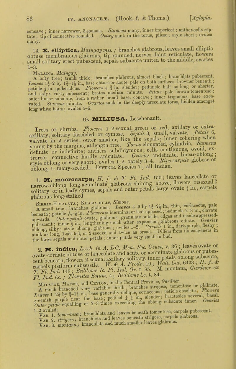 concave ; inner narrower, 3-gonous. Stamens many, inner imperfect; anther-cells sep- tate ; tip of connective rounded. Ovary Buuk in the torus, pilose ; style short; ovulea many. 14. X. ellivtica, Maingaymss. ; branctea glabrous, leaves small elliptic obtuse membranous glabrous, tip rounded, nerves faint reticulate, flowers small solitary erect pubescent, sepals subacute united to the middle, ovanes 1-3. Malacca, Maingay. , ,, , , , i . i ^ A lofty tree; trunk thick; hranches glahrous, almost hlack; hranchlets pubescent. Leaves U-2 by li-U in., base obtuse or acute, pale on both surfaces, browner beneath; petiole i in., puberulous. Flowers 4-| in., slender; peduncle half as long or shorter, and calyx rusty-rubescent; bratcs median, minute. Petals pale brown-tomentose ; outer Unear subulate, from a rather broad base, concave ; inner trigonous, base exca. vated. Stamens minute. Ovaries sunk in the deeply urceolate torus, hidden amongst long white hairs; ovules 4-6. 19. xniliXUSA, Leschenault. Trees or shrubs. Flowers 1-2-sexual, green or red, axiUary or extra- axillary, solitary fascicled or cymose. Sepals 3, small, valvate. .i^^tote b valvate in 2 series; outer smaller, like the f P^^^ .''''r young by the margins, at length free. Tores elongated, cylmdric. Stam^ definite or indefinite; anthers subdidymous; cells cootiguous, ovoid ex- trorse; connective hardly apiculate. Ovaries indefinite, l^f aj.^t'long, style oblong or very short; ovules 1-2. rarely 3-4. Mpe carpels globose or oblong, 1- many-seeded.—DiSTRiB. Species 7; aU Indian. 1 IW. macrocarpa, ff. f. & T. Fl. Ind. 150; leaves lanceolate or narro^oblong long-acuminate glabrous shining above, flowers bisexual ? soTta^ oS leafy cymes, sepals and outer petals large ovate im., carpels glabrous long-stalked. bpneath- netiole\V-4 in. if'towers subterminal or leaf-opposed ; peduncle 2-3 in.,clavate the large sepals and outer petals ; inner petals very small in bud. 2 3W. indica, Lesch. in A. DC. Mem. Soc. Genev. v 36 ; leaves ovate or Fl. Ind. I.e. ; Thwaites Enum. 4; Beddome I.e. t. 84. Mat AT,AR Maisok and Ceylon, in the Central Province, ffor(i»ier. ? ,^!,rrWched very variable shrub; branches strigose, tomentose or gkbrate. ^S^S, S%^nimL^tlkg'the oblong subacute inner. Ovaries ^V^ft'tomentosa; hranchlets and leaves beneath tomentose, carpels pubescent. V^u 2 Srbranchlets and leaves beneath strigose carpels glabrous. vIb 3 mSam; brancUcts aud much smaller leaves glabrous.