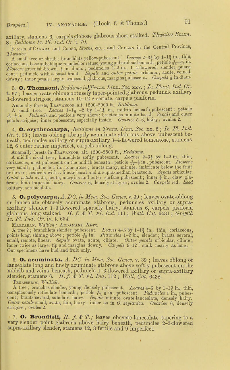 axiUary, stamens 6, carpels globose glabrous short-stalked. Tlmaites Enum. 8; Beddome Ic. PI. Ind. Or. t. 70. Forests of Canara and Cooro, Stocks, &c.; and Ceylon in the Central Province, A small tree or shrab; branclilets yellow-pubescent. Leaves 2-34 ^7 f^}^' coriaceous, base suboblique rounded or retuse, young puberulous beneath; petiole ^t-tt m. Flowers greenish brown, | in. diam.; peduncles 1-2 in., 1-4-aowered, slender, pubes- cent ; peduncle with a basal bract. Sepals and outer petals orbicular, acute,_ veined, downy ; inner petals larger, trapezoid, glabrous, margins pubescent. Carpels i in.diam. 3. O. Thomsoni, Beddome in\Trans. Linn. Soc. xxv. ; Ic. Plant. Ind. Or. t. 67 ; leaves ovate-oblong obtusely taper-pointed glabrous, peduncle axillary 3-flowered strigose, stamens 10-12 2-seriate, carpels pisiform. Anamally forests, Tratancor, alt. 1500-2000 ft., Beddome. A small tree. Leaves 1-14 -2 by 1-lJ in., midrib beneatb pubescent; petiole in. Peduncle and pedicels very short; bracteoles minute basal._ Sepals and outer petals strigose ; inner pubescent, especially inside. Ovaries 5-6, hairy ; ovules 2. 4. O. erythrocarpa, Beddome in Tram. Limn. Soc. xx. 5; Ic. PI. Ind. Or. t. 68 ; leaves oblong abruptly acuminate glabrous above pubescent be- neath, peduncles axillary or supra-axillary 3-4-flowered tomentose, stamens 12, 6 outer rather imperfect, carpels oblong. Anamally forests in Travancor, alt. 1500-2500 ft., Beddome. A middle sized tree ; brancblets softly pubescent. Leaves 2-34 1-2 in., thin, coriaceous, most pubescent on the midrib beneath ; petiole -^-i in., pubescent. Flowers very small; peduncle 1 in., tomentose ; bracts many, minute, imbricate below the fruit or flower ; pedicels with a linear basal and a supra-median bracteole. Sepals orbicular. Outer petals ovate, acute, margins and outer surface pubescent; inner | in., claw gla- brous, limb trapezoid hairy. Ovaries 6, densely strigose ; ovules 2. Carpels red. Seed solitary, scrobiculate. 5. O. polycarpa, A. DC in Mem. Soc. Genev. v. 39 ; leaves ovate-oblong or lanceolate obtusely acuminate glabrous, peduncles axillary or supra- axillary slender 1-3-flowered sparsely hairy, stamens 6, carpels pisiform glabrous long-stalked. U. f. d: T. Fl. Ind. Ill; Wall. Cat. 6431; Griffith Ic. PI. Ind. Or. iv. t. 654. Maetaban, Wallich; Andamans, Kwrz. A tree ? ; brancblets slender, pubescent. Leaves 4-5 by 1-lf in., thin, coriaceous, points long, shining above ; petiole ^ in. Peduncles 1-2 in., slender; bracts several, small, remote, linear. Sepals ovate, acute, ciliate. Outer petals orbicular, ciliate; inner twice as large, tip and margins downy. Carpels 9-12 ; stalk nearly as long.— Our specimens have bud and fruit only. 6. O. acuminata, A. DC. in Mem. Soc. Genev. v. 39 ; leaves oblong or lanceolate long and finely acuminate glabrous above softly pubescent on the midrib and veins beneath, peduncle 1-3-tlowered axillary or supra-axillary slender, stamens 6. E. f. & T. Fl. Ind. 112 j Wall. Cat. 6432. Tenasserim, Wallich. A tree ; branches slender, young densely pubescent. Leaves 4-6 by 1-lf in., thin, conspicuously reticulate beneath ; petiole in., pubescent. Peduncles 1 in., pubes- cent; bracts several, subulate, hairy. /Ss^mZs minute, ovate lanceolate, densely hairy. Outer petals small, ovate, thin, hairy; inner as in 0. zeylanica. Ovaries 6, densely strigose ; ovules 2. ' 7. O. Brandisil, H. /. tfr T.; leaves obovate-Ianceolate tapering to a very slender point glabrous above hairy beneath, peduncles 2-3-flowered supra-axillary slender, stamens 12, 3 fertile and 9 imperfect.