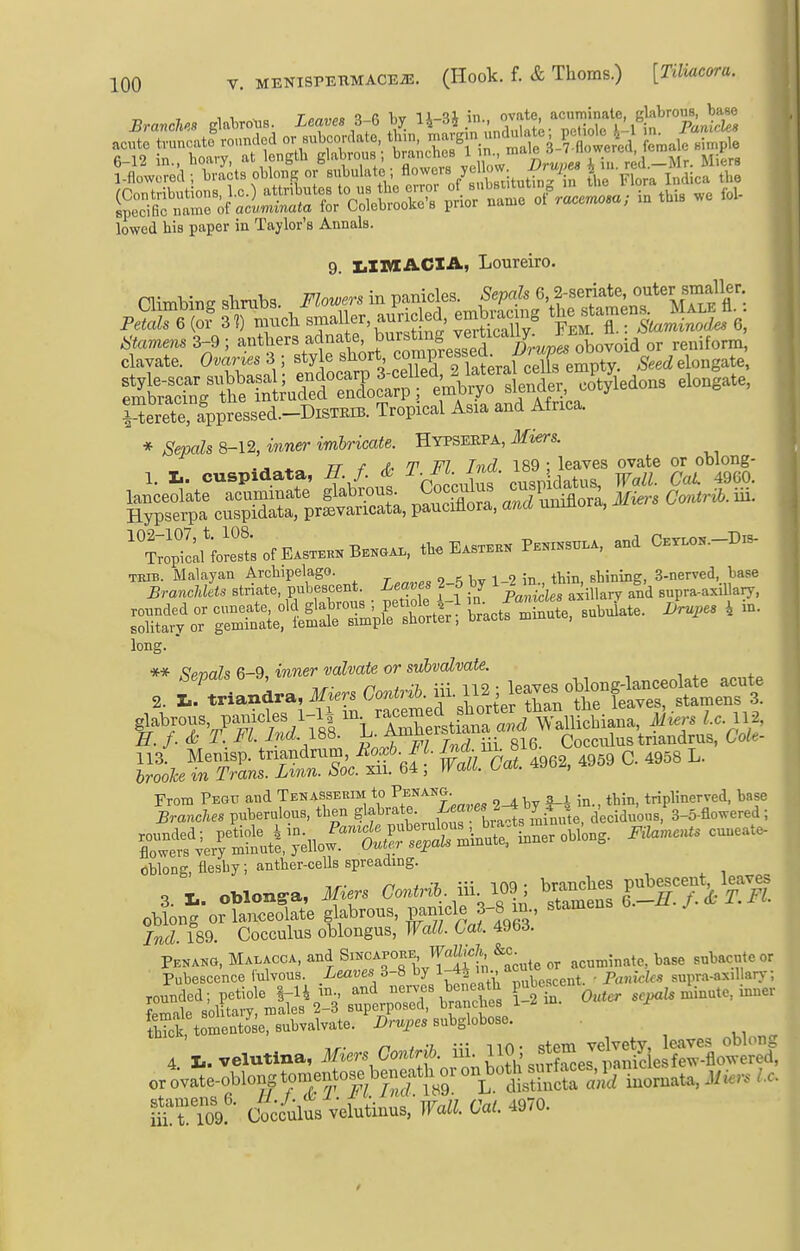 Branches glabroXis. Leaves 3-6 by li-3i in., ovate, acuminate gkbrous^ W lowed bis paper in Taylor's Annals. 9. l,Ixn&CIA, Loureiro. nimbine alimbs Fhw«-s in panicles. S«po!s 6, S-seriate, outer smaller pSre *rmnch smaller a|i^^^^^^ emWng the stamen. M.ljf.^. i-terete, appressed.-DiSTEiB. Tropical Asia and Atrica. * Sepals 8-12, inner imbricate. Hypseepa, Miers. ., ^ TT -f M ri FJ Tnd 189 ; leaves ovate or oblong- »«-totID™B.«»., tl.eE.s™.» P—and C.™..-D.s. TEIB. Malayan Archipelago. ^^^^^ stining, 3-nerved base Branchleis striate, pubescent. i.ea»es ^ o oy • K ^ supra-axillary, s^^or^Su:i/Kte^ • ' long. ** Semis 6-9, f aZwfe or subvalvate. nepatbM ^, no . ipnvp<; oblone-lanceolate acute 2. I., triandra, 3hers Gontr^h. ^^^^ leaves obwng ^^^^^^^ ^ glabrous, panicles 1-H m ^^/^™,^?,.f^°f^',^rf* Wa^^^^^^ iW^'^ ^o.^t^^'f^^o^'^ Witoat. 496, 4959 C 4958 L. Z^^^errStly.!^^^^^^^^^^^ oblong, flesby; anther-cells spreading. ,1 3. X.. oblon^a, i(^..s (7o,.n6 iii 109; br^^^es pubg-t leav^_ oblong or lanceolate glabrous, panicle 3-8 in., stamens j 189 Cocculus oblongus, Wall. tat. 4963. ;S tome»l»»=. .C.-.j-essnbglobose. ortVate-oblons j*};^?* °' ^.tstSSSrSLoata, Mkn U. m t To9 Coc/ulus vetaiinus,-Wi. C«l. 4970.