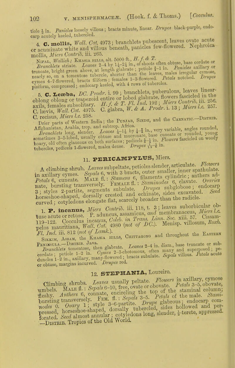 tiolc \ in. Panicles loosely villous ; bracts minute, linear. Drupes black-purple, endo- carp acutely keeled, tubercled. 4 C mollis, Wall. CatAQIZ; branchlets pubescent, leaves ovate acute ortua\iTte white and villous beneath, panicles few-flowered. Nephimca mollis, Miers Contrib. iii. rr ^ ^ rp NiPA. TFaZZic/.; Kh.«.a .u.,s al^^^ ^ ' - Mn^V^t.tsoften obtuse, base cordate or axHs, females subsolitary. M.f. (b ^■^''■ff- ij^/.;y„ i , 3 . Miers I.e. 257. C. tevis. Wall. Cat. 4975. C. glabra, W.& A. i rodr. 1. , mwr» C. recisus, Miers I.e. 258. n.^vATir —Distrib. Drier parts of Western India; tbe Punjab, Sittoh, and tbe Cae^atic. Affgbanistan, Arabia trop. and subtrop Africa. ^^^^^j^j^ Branchlets long, slender. itaJ^es i-li by 'Jf^ ^e or rounded, young Bon.eti,nes 3-5-lobed, usually ^'^riTdStMu lw« asckled on wood? hoary, old often glaucous on both surfaces, pedicels ^ 4 1' tubercles, pedicels 1-flowered, males dense. Drupes m. 11 PERICAMPVLUS, Miers. A climbing sl^rub. Xea.. subpeM^ in axillary cymes. Sepals 6, with 3 ^^^f^'.^^^^J^g ' lindric : anthers ad- PeiaZs 6, cuneate. Male fl.: toe«s ^ maments^^^^^^^^^^ ^^^^^^ nate, bWng transversely. Female fl. : ^ ss: iit'aXr»»?i.*^^^^^ or obtuse, margins incurved. Drupes red. 12 STEPKANIA, Loureixo. —DiSTEiB. Tropics of the Old W oriel.