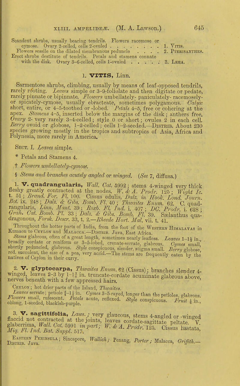 Scandent shrubs, usually bearing tendrils. Flowers racemose or cymose. Ovary 2-celled, cells 2-ovuled 1. Yitis, Flowers sessile on the dilated membranous peduncle .... 2. Pterisakthes. Erect shrubs destitute of tendrils. Petals and stamens connate with the disk. Ovary 3-6-celled, cells 1-ovuled '3. Leea. 1. VITIS, Linn. Sarmentose shrubs, climbing, usually by means of leaf-opposed tendrils, rarely rioting. Leaves simple or 3-9-foliolate and then digitate or pedate, rarely pinnate or bipinnate. Flowers umbellately- paniculately- racemosely- or spicately-cymose, usually ebracteate, sometimes polygamous. Calyx short, entire, or 4-5-toothed or -lobed. Petals 4-5, free or cohering at the apex. Stamens 4-5, inserted below the margins of the disk; anthers free. Ovary 2- very rarely 3-4-celled; style 0 or short; ovules 2 in each cell. £err// ovoid or globose, 1-2-celled; cells 1-2-seeded.—Disteib. About 230 species growing mostly in the tropics and subtropics of Asia, Africa and Polynesia, more rarely in America. Sect. I. Leaves simple. * Petals and Stamens 4. t Mowers umbellately-cymose. § Sterns and branches acutely angled or winged. {See 7, diffusa.) 1. V. quadrang-ularis, Wall. Cat. 6992; stems 4-winged very thick fleshy greatly contracted at the nodes. W. ch A. Prodr. 125 • Wiqkt Ic t. 51; Brand. For. Fl. 100. Cissus edulis, Dalz. in Hook. Lond. Journ. Bot. IX. 248; Dalz. & Gibs. Bomb. Fl. 40; Thivaites Fnum. 62 C quad- rangularis, Lmn. Mant. 39; Roxb. Fl. Ind. i. 407 ; DC Prodr i 628 • Grah. Gat. Bomb. PI. 33 ; Dalz. Gibs. Bomb. Fl. 39. S^lanthus qua- dragonous, Forsk. Descr. 33, t. 2.—Rheede HoH. Mai. vii. t. 41. Throughout the hotter parts of India, from the foot of the Western Hbialatas in liumaon to Ceylon and Malacca.—Distiub. Java, East Africa. Stems glabrous, often of a great length, sometimes nearly leafless. Leaves 1-H in broadly cordate or remform or 3-5-lobed, crenate-serrate, glabrous. Ovmes small' ' shortly peduncled, glabrous. Style conspicuous, slender, stigma small. Berru globose red, succulent, the size of a pea, very acrid.—The stems are frequently eaten bv the natives of Ceylon m their curry. ^ J j ^ 2. V. g-lyptoca,rpa, Thivaites Fnum. 62 (Cissus); branches slender 4- winged leaves 2-3 by 1-1 f in. truncate-cordate acuminate glabrous above nerves beneath with a few appressed hairs. 'luuve, Ceylon ; hot drier parts of the Island, Thwaites. Leaves serrate; petiole f-U in Cymes 3-5-rayed, longer than the petioles, glabrous sri-riLrssstpu^jfe ''^^^ ^-^in^ ^M^JIL'St^l^!^^^'^ ^■'^^-^rodr.A CissV?aU; Dm Jav^''''''''^' Pc^rier; Malacca, Griffith.-