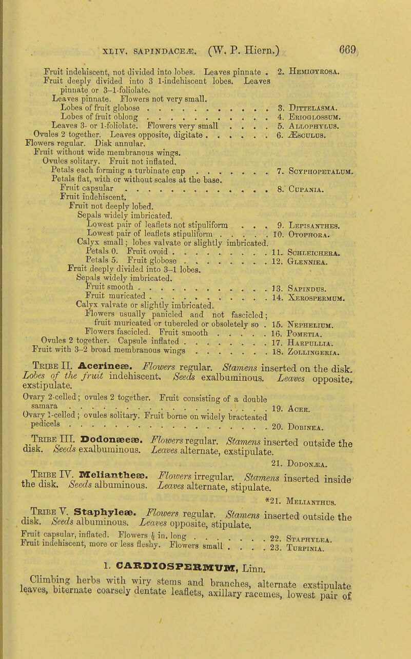 Fruit indetiscent, not divided into lobes. Leaves pinnate . 2. Hemiotrosa. Fruit deeply divided into 3 l-indcliiscent lobes. Leaves pinnate or 3-1-foliolate. Leaves pinnate. Flowers not very small. Lobes of fruit globose 3. Dittelasma. Lobes of fruit oblong 4. Erioglossum. Leaves 3- or 1-foliolate. Flowers very small .... 5. Alt.ophylus. Ovules 2 together. Leaves opposite, digitate 6. .^sculus. Flowers regular. Disk annular. Fiuit without wide membranous wings. Ovules solitary. Fruit not inflated. Petals each forming a turbinate cup 7. Soyphopetalcm. Petals flat, with or without scales at the base. Fruit capsular 8. Cdpania. Fniit indehiscent. Fruit not deeply lobed. Sepals widely imbricated. Lowest pah- of leaflets not stipuliform ... 9. Lepisanthes. Lowest pair of leaflets stipuliform 10. Otophora. Calyx small; lobes valvate or slightly imbricated. Petals 0. Fruit ovoid 11. Schleicheba. Petals 5. Fruit globose 12. Glennika.. Fruit deeply divided into 3-1 lobes. Sepals widely imbricated. Fruit smooth 13. Sapindus. Fruit muricated 14. Xerospeemum, Calyx valvate or slightly imbricated. Flowers usually panicled and not fascicled; fruit muricated or tubercled or obsoletely so . 15. NEPHELrDM. Flowers fascicled. Fruit smooth 16. Pometia. Ovules 2 together. Capsule inflated I7'. Harpdllia. Fruit with 3-2 broad membranous wings 18. Zollingeri'a. Tribe II. Acerinese. Flowers regular. Stamens inserted on the disk. Lobes of the fruit indehiscent. Seeds exalbuminous. Leaves opposite* exstipulate. Ovary 2-celled; ovules 2 together. Fruit consisting of a double samara . . . I9. ^^^^^ Ovary 1-celled ; ovules solitary. Frmt borne on widely bracteated P«'li<=«^« 20. DOBINEA. ..Tribe m. DodonaeeaB. Flowers v(ig\x\?iv. ^toraews in.serted outside the disk, beeds exaibummous. Leaves alternate, exstipulate. 21. DODONJEA. TRffiElV BleliantheaB. Floioers ixvegnl^r. Stamens inserted inside the disk. Seeds albuminous. Leaves alternate, stipulate. *21. Melianthus. Tribe V Staphyleae. Flowers regular. Stamens inserted outside the disk, beeds albuminous. Leaves opposite, stipulate. Fruit capsular, inflated. Flowers i in. long 22 Staphvtva Fruit indehiscent, more or less fleshy. Flowers small . 23'. Turpinia \. CARDIOSPERmvnX, Linn. ^'^^] 7'^. ''^'P ^^ branches, alternate exstipulate leaves, biternate coarsely dentate leaEets, axillary racemes, lowest pair of /