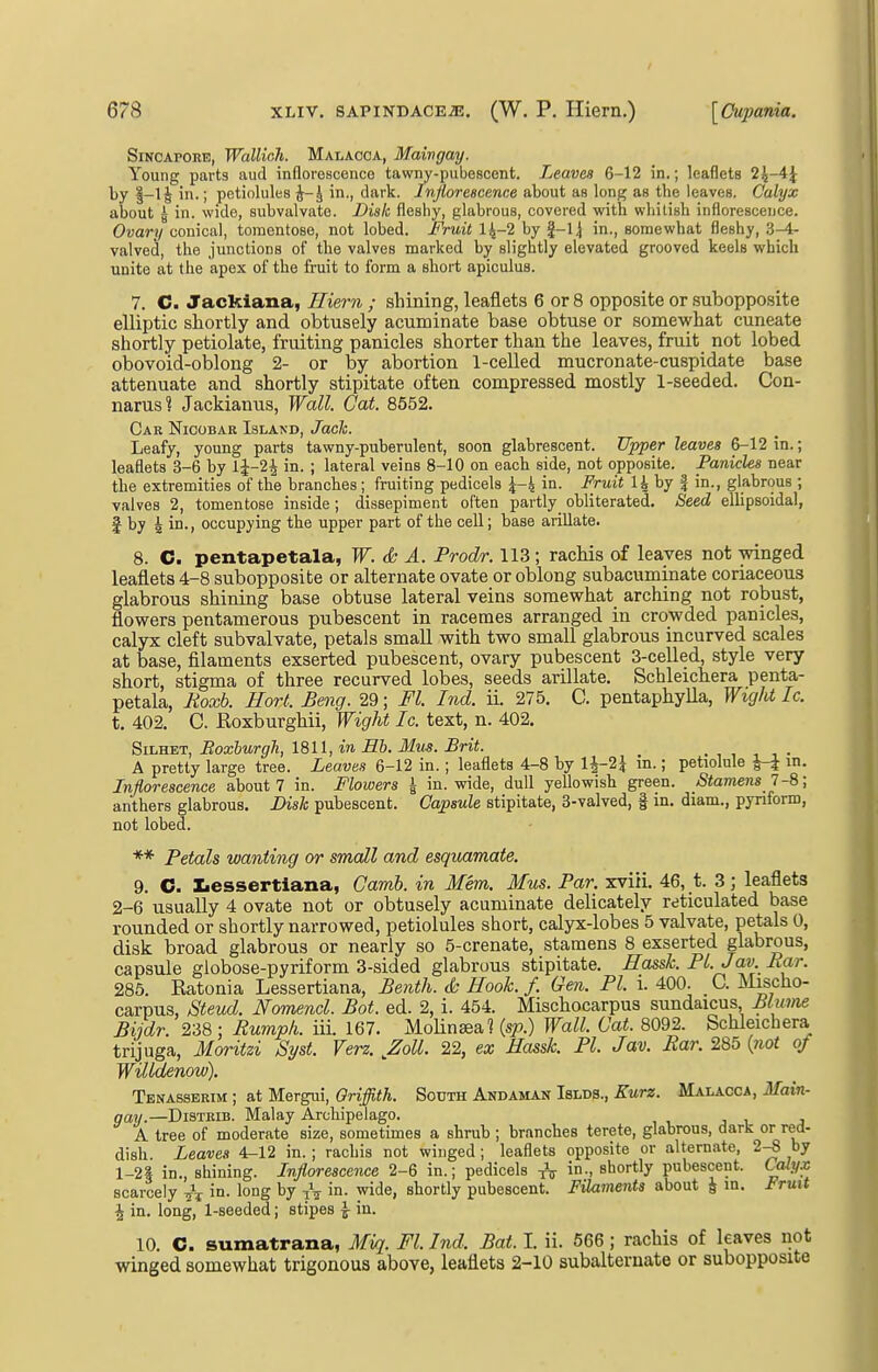 Singapore, Walliah. Malacca, Maivgay. Young parts aud inflorescence tawny-pubescent. Leaves 6-12 in.; leaflets 2^-4^ ty in.; petiolules ^-J in., dark. Injloreecence about as long as the leaves. Calyx about ^ in. wide, snbvalvate. Disk fleshy, glabrous, covered with wliilish inflorescence. Ovary conical, tomcntose, not lobed. Fruit 14-2 by |-1 j in., somewhat fleshy, 3-4- valved, the junctions of the valves marked by slightly elevated grooved keels which unite at the apex of the fruit to form a short apiculus. 7. C. Jackiana, Eiern ; shining, leaflets 6 or 8 opposite or subopposite elliptic shortly and obtusely acuminate base obtuse or somewhat cuneate shortly petiolate, fruiting panicles shorter than the leaves, fruit not lobed obovoid-oblong 2- or by abortion 1-celled mucronate-cuspidate base attenuate and shortly stipitate often compressed mostly 1-seeded. Con- narus? Jackianus, Wall. Gat. 8552. Car Nicobar Island, Jach. Leafy, young parts tawny-puberulent, soon glabrescent. Upper leaves 6-12 in.; leaflets 3-6 by 1^-2^ in. ; lateral veins 8-10 on each side, not opposite. Panicles near the extremities of the branches ; fruiting pedicels ^-4 in. Fruit U by f in., glabrous ; valves 2, tomentose inside; dissepiment often partly obliterated. Seed ellipsoidal, I by 4 in., occupying the upper part of the cell; base arillate. 8. C. pentapetala, W. & A. Prodr. 113; rachis of leaves not winged leaflets 4-8 subopposite or alternate ovate or oblong subacuminate coriaceous glabrous shining base obtuse lateral veins somewhat arching not robust, flowers pentamerous pubescent in racemes arranged in crowded panicles, calyx cleft subvalvate, petals small with two small glabrous incurved scales at base, filaments exserted pubescent, ovary pubescent 3-celled, style very short, stigma of three recurved lobes, seeds arillate. Schleichera penta- petala, Roxb. Horl. Beng. 29; Fl. Ind. ii. 275. C. pentaphylla, Wiglti Ic. t. 402. C. Eoxburghii, Wight Ic. text, n. 402. SiLHET, Boxburgli, 1811, in Hh. Mus. Brit. A pretty large tree. Leaves 6-12 in.; leaflets 4-8 by 1^-2^ m.; petiolule J-f in. Inflorescence about 7 in. Flowers i in. wide, dull yellowish green. Stamens 1-8; anthers glabrous. Disk pubescent. Capsule stipitate, 3-valved, | in. diam., pynform, not lobed. ** Petals wanting or small and esquamate. 9. C. licssertiana, Camh. in Mem. Mus. Par. xviii. 46, t. 3; leaflets 2-6 usually 4 ovate not or obtusely acuminate delicately reticulated base rounded or shortly narrowed, petiolules short, calyx-lobes 5 valvate, petals 0, disk broad glabrous or nearly so 5-crenate, stamens 8 exserted glabrous, capsule globose-pyriform 3-sided glabrous stipitate. Hassk. PL Jav Ear. 285. Ratonia Lessertiana, Benth. & Hook. f. Gen. PL i. 400. C. Mischo- carpus, Steud. Ncymencl. Bot. ed. 2, i. 454. Mischocarpus sundaicus Bimne Bijdr. 238 : Rumpli. iii. 167. Molinaea? {sp.) WalL Gat. 8092. Schleichera trijuga, Mcn-itzi Syst Verz. ^Zoll. 22, ex Hassk. PI. Jav. Bar. 285 {not of Willdenow). Tenasserim ; at Mergui, Griffith. South Andaman Islds., Kurz. Malacca, Main- gay.—DiSTEiB. Malay Archipelago. A tree of moderate size, sometimes a shrub ; branches terete, glabrous, dark or red- dish Leaves 4-12 in.; rachis not winged; leaflets opposite or alternate, 2-8 by 1-2| in., shining. Inflorescence 2-6 in.; pedicels in., shortly pubescent. Calyx scarcely in. long by -jV in. wide, shortly pubescent. Filaments about J in. Fruit \ in. long, l-seeded; stipes \ in. 10. C. sumatrana, Miq. FL Ind. Bat I. ii. 666 ; rachis of leaves not winged somewhat trigonous above, leaflets 2-10 subalteruate or subopposite