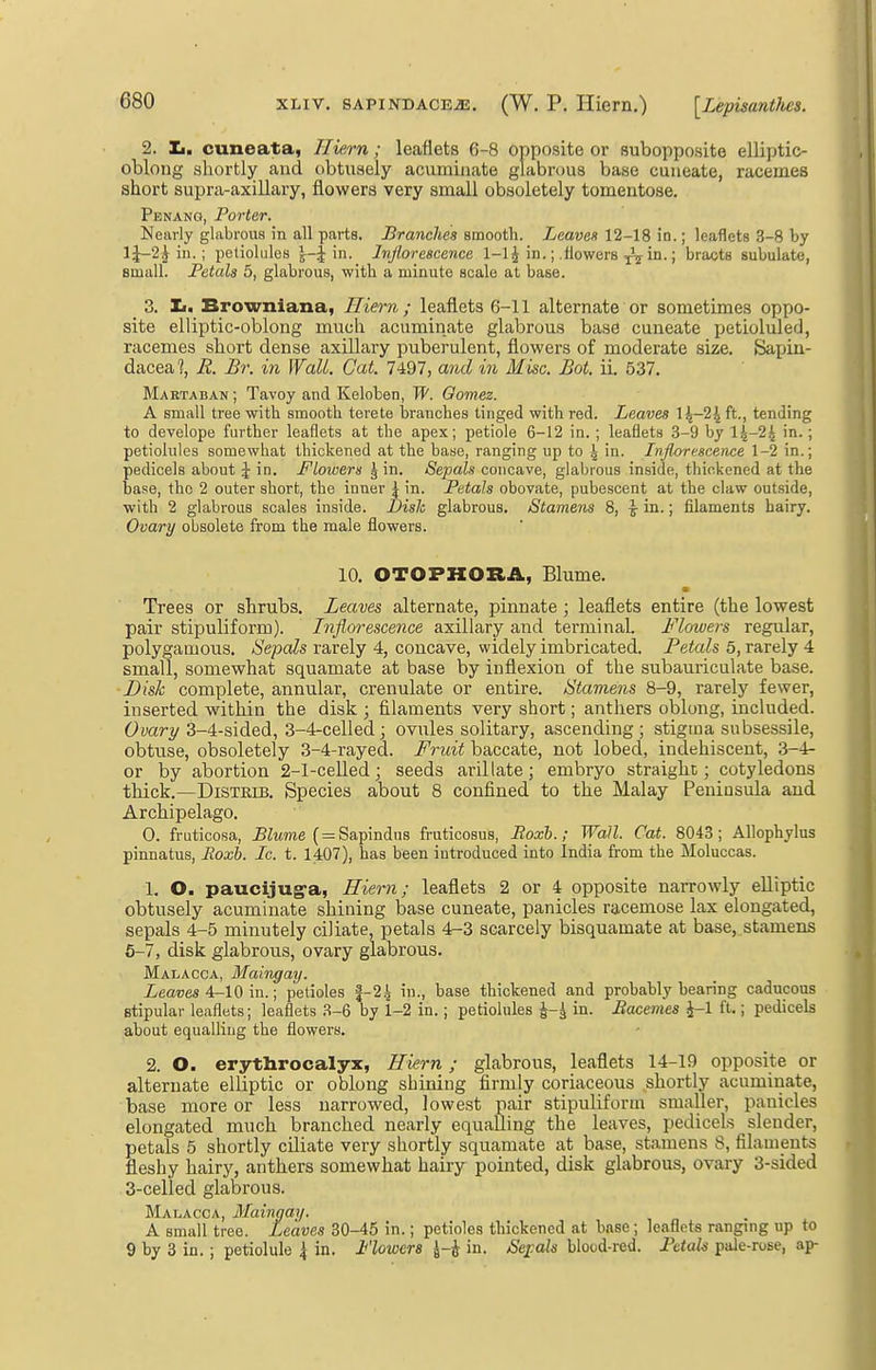 2. Zi, cuneata, Hiem; leaflets 6-8 opposite or subopposito elliptic- oblong sliortly and obtusely acuminate glabrous base cuneate, racemes short supra-axiUary, flowers very small obsoletely tomeutose. Penang, Porter. Nearly glabrous in all parts. Branches smooth. Leaves 12-18 in.; leaflets 3-8 by l\-2^m. \ petiolules in. Injlorescence 1-1J in.; .flowers in.; bracts subulate, small. Petals 5, glabrous, with a minute scale at base. 3. Xii Browniana, Hiem; leaflets 6-11 alternate or sometimes oppo- site elliptic-oblong much acuminate glabrous base cuneate petioluled, racemes short dense axiUary puberulent, flowers of moderate size. Sapin- dacea?, E. £r. in Wait. Cat. 7i97, and in Misc. Bot. iL 537. Martaban ; Tavoy and Keloben, W. Oomez. A small tree with smooth terete branches tinged with red. Leaves ft., tending to develope further leaflets at the apex; petiole 6-12 in. ; leaflets 3-9 by 1^-24 in.; petiolules somewhat thickened at the base, ranging up to | in. Inflorescence 1-2 in.; pedicels about J in. Flowers \ in. Sepals concave, glabrous inside, thickened at the base, the 2 outer short, the inner \ in. Petals obovate, pubescent at the claw outside, with 2 glabrous scales inside. Disk glabrous. Stamens 8, y in.; filaments hairy. Ovary obsolete from the male flowers. 10. OTOPKORA, Blume. Trees or shrubs. Leaves alternate, pinnate ; leaflets entire (the lowest pair stipuliform). Inflorescence axillary and terminal. Flowers regular, polygamous. Sepals rarely 4, concave, widely imbricated. Petals 5, rarely 4 small, somewhat squamate at base by inflexion of the subauriculate base. Disk complete, annular, crenulate or entire. Stamens 8-9, rarely fewer, inserted within the disk ; filaments very short; antliers oblong, included. Ovary 3-4-sided, 3-4-celled ; ovules solitary, ascending ; stigma subsessile, obtuse, obsoletely 3-4-rayed. Fruit baccate, not lobed, indehisceut, 3-4- or by abortion 2-1-celled; seeds aril late; embryo straight; cotyledons thick.—DiSTEiB. Species about 8 confined to the Malay Peninsula and Archipelago. 0. fruticosa, ^Zwme ( = Sapindus fruticosus, Roxh.; Wall. Cat. 8043; AUophylus pinnatus, Roxb. Ic. t. 1407), has been introduced into India from the Moluccas. 1. O. paucijug-a, Hiem; leaflets 2 or 4 opposite narrowly elliptic obtusely acuminate shining base cuneate, panicles racemose lax elongated, sepals 4-5 minutely ciliate, petals 4-3 scarcely bisquamate at base, stamens 6-7, disk glabrous, ovary glabrous. Malacca, Maingay. Leaves 4.-10 ; petioles f-24 in., base thickened and probably bearing caducous Btipular leaflets; leaflets .S-6 by 1-2 in.; petiolules J-^ in. Racemes ^-1 ft.; pedicels about equalling the flowers. 2. O. erythrocalyx, Hiem; glabrous, leaflets 14-19 opposite or alternate elliptic or oblong shining firmly coriaceous shortly acuminate, base more or less narrowed, lowest pair stipuliform smaller, panicles elongated much branched nearly equalling the leaves, pedicels slender, petals 5 shortly ciliate very shortly squamate at base, stamens 8, filaments fleshy hairy, anthers somewhat hairy pointed, disk glabrous, ovary 3-sided 3-celled glabrous. Malacca, Maingay. A small tree. Leaves 30-45 in.; petioles thickened at base; leaifete ranging up to 9 by 3 in.; petiolule \ in. Flowers J-J in. Sej:ah blood-red. Petals pale-rose, ap-