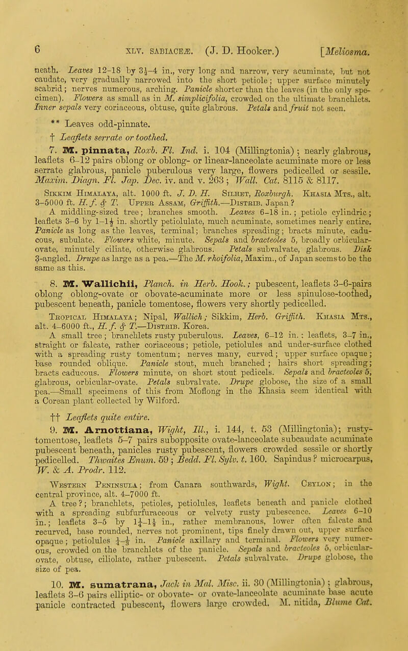 neath. Leaves 12-18 by 3.J-4 in., very long and narrow, very acuminate, Tmt not caudate, very gradually narrowed into the short petiole; upper surface minutely scabrid; nerves numerous, arching. Panicle shorter than the leaves (in the only spe- cimen). Flowers as small as in M. simplioifolia, crowded on the ultimate branclilets. Inner sepals very coriaceous, obtuse, quite glabrous. Petals and fruit not seen. ** Leaves odd-pinnate, t Leaflets serrate or toothed. 7. ZHC. pinnata, Soxb. Fl. Ind. i. 104 (Millingtonia) ; nearly glabrous, leaflets 6-12 pairs olDlong or oUong- or linear-lanceolate acuminate more or less serrate glabrous, panicle piiberulous very large, flowers pedicelled or sessile. Maxim. Diagn. Fl. Jap. Dec. iv. and v. 263 ; Wall. Cat. 8115 & 8117. SiKiaM HiMAiAYA, alt. 1000 ft. J. B. H. Sii,iibt, Eoxhirgh. Khasia Mts., alt. 3-5000 ft. H.f. ^ T. Upper Assam, Griffith.—BisTam. Japan ? A middling-sized tree; branches smooth. Leaves 6-18 in.; petiole cylindric; leaflets 3-6 by 1-1^ in. shortly petiolulate, much acuminate, sometimes nearly entire. Panicle as long as the leaves, terminal; branches spreading; bracts minute, cadu- cous, subulate. Flowers white, minute. Sepals and bracteoles 5, broadly orbicular- ovate, minutely ciliate, other-nise glabrous. Petals subvalvate, glabrous. Disk 3-angled. Drupe as large as a pea.—The M. rhoifolia, Maxim., of Japan seems to be the same as this. 8. TIL. VTallicIlil, Planch, in Herh. Hooh.; pubescent, leaflets 3-6-pairs oblong oblong-ovate or obovate-acuminate more or less spinulose-toothed, pubescent beneath, panicle tomentose, flowers very shortly pedicelled. Tbopicax. Himalaya; Nipal, Wallich; Sikkim, Herb. Griffith. Khasia Mts., alt. 4-6000 ft., H. f. ^ T.—Distmb. Korea. A .small tree; branchlets rusty puberulous. Leaves, 6-12 in.: leaflets, 3-7 in., straight or falcate, rather coriaceous; petiole, petiolules and under-surface clothed with a spreading rusty tomentum; nerves many, curved; upper surface opaque; base rounded oblique. Panicle stout, much branched ; hairs short spreading; bracts caducous. Flowers minute, on short stout pedicels. Sepals and bracteoles 5, glabrous, orbicular-ovate. Petals subvalvate. Drupe globose, the size of a small pea.—Small specimens of this from Moflong in the Khasia seem identical with a Corean plant collected by Wilford. tt Leaflets quite entire. 9. M. Arnottiana, Wight, III, i. 144, t. 53 (jMillingtonia); riisty- tomentose, leaflets 5-7 pairs subopposite ovate-lanceolate subcaudate acuminate pubescent beneath, panicles rusty pubescent, flowers crowded sessile or shortly pedicelled. Thwaites Enum. 69 ; Bedd. Fl. Sylv. 1.160. Sapindus ? microcarpus, W. & A. Frodr. 112. Western Peninsula; from Canara southwards, Wight. Ceylon; in the central province, alt. 4-7000 ft. A tree?; branchlets, petioles, petiolules, leaflets beneath and panicle clothed with a spreading subfurfuraceous or velvety rusty pubescence. Leaves 6-10 in.; leaflets 3-5 by 1^-1-i- in., rather membranous, lower often falcate and recurved, base rounded, nerves not prominent, tips finely drawn out, upper surface opaque ; petiolules ^-^ in. Particle axillary and terminal. Flowers very numer- ous, crowded on the branchlets of tlio panicle. Sepals and bracteoles 5, orliicular- ovate, obtuse, ciliolatc, rather pubescent. Petals subvalvate. Drupe globose, tlio size of pea. 10. m. sumatrana, Jack in Mai. Misc. ii. 30 (Millingtonia) ; glabrous, leaflets 3-6 pairs elliptic- or obovate- or ovate-lanceolate acuminate base acute panicle contracted pubescent, flowers large crowded. M. nitida, Slimie Cat.