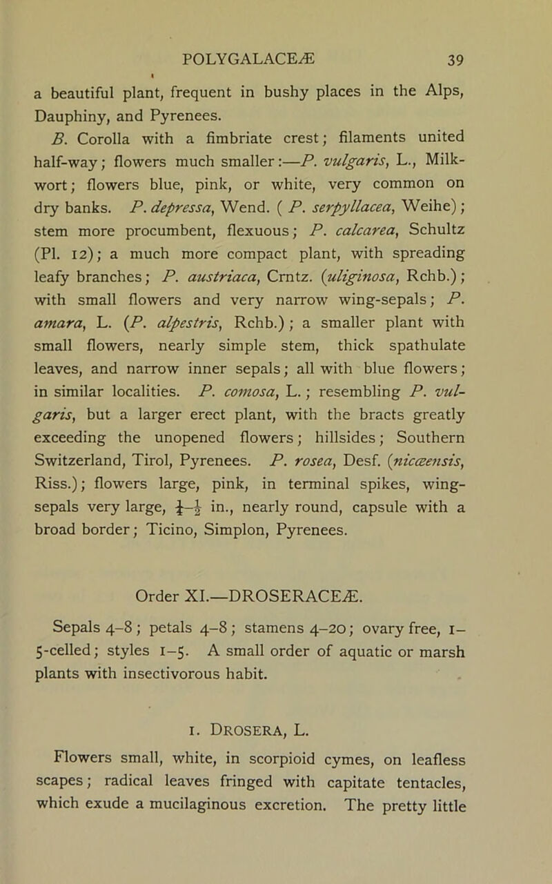 a beautiful plant, frequent in bushy places in the Alps, Dauphiny, and Pyrenees. B. Corolla with a fimbriate crest; filaments united half-way; flowers much smaller :—P. vulgaris, L., Milk- wort; flowers blue, pink, or white, very common on dry banks. P. depressa, Wend. ( P. serpyllacea, Weihe); stem more procumbent, flexuous; P. calcarea, Schultz (PI. 12); a much more compact plant, with spreading leafy branches; P. austriaca, Crntz. (uliginosa, Rchb.); with small flowers and very narrow wing-sepals; P. amara, L. (P. alpestris, Rchb.) ; a smaller plant with small flowers, nearly simple stem, thick spathulate leaves, and narrow inner sepals; all with blue flowers; in similar localities. P. comosa, L.; resembling P. vul- garis, but a larger erect plant, with the bracts greatly exceeding the unopened flowers; hillsides; Southern Switzerland, Tirol, Pyrenees. P. rosea, Desf. (nicceensis, Riss.); flowers large, pink, in terminal spikes, wing- sepals very large, in., nearly round, capsule with a broad border; Ticino, Simplon, Pyrenees. Order XI.—DROSERACEAL Sepals 4-8; petals 4-8; stamens 4-20; ovary free, I- 5-celled; styles 1-5. A small order of aquatic or marsh plants with insectivorous habit. 1. Drosera, L. Flowers small, white, in scorpioid cymes, on leafless scapes; radical leaves fringed with capitate tentacles, which exude a mucilaginous excretion. The pretty little